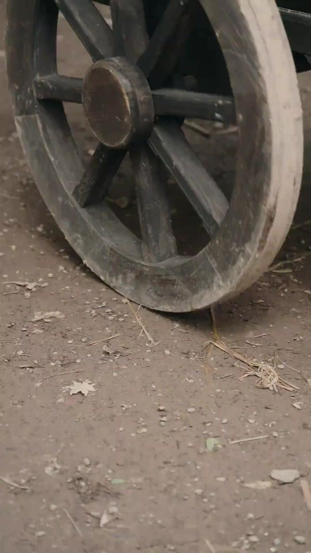 Lucky Wife, Rising Husband