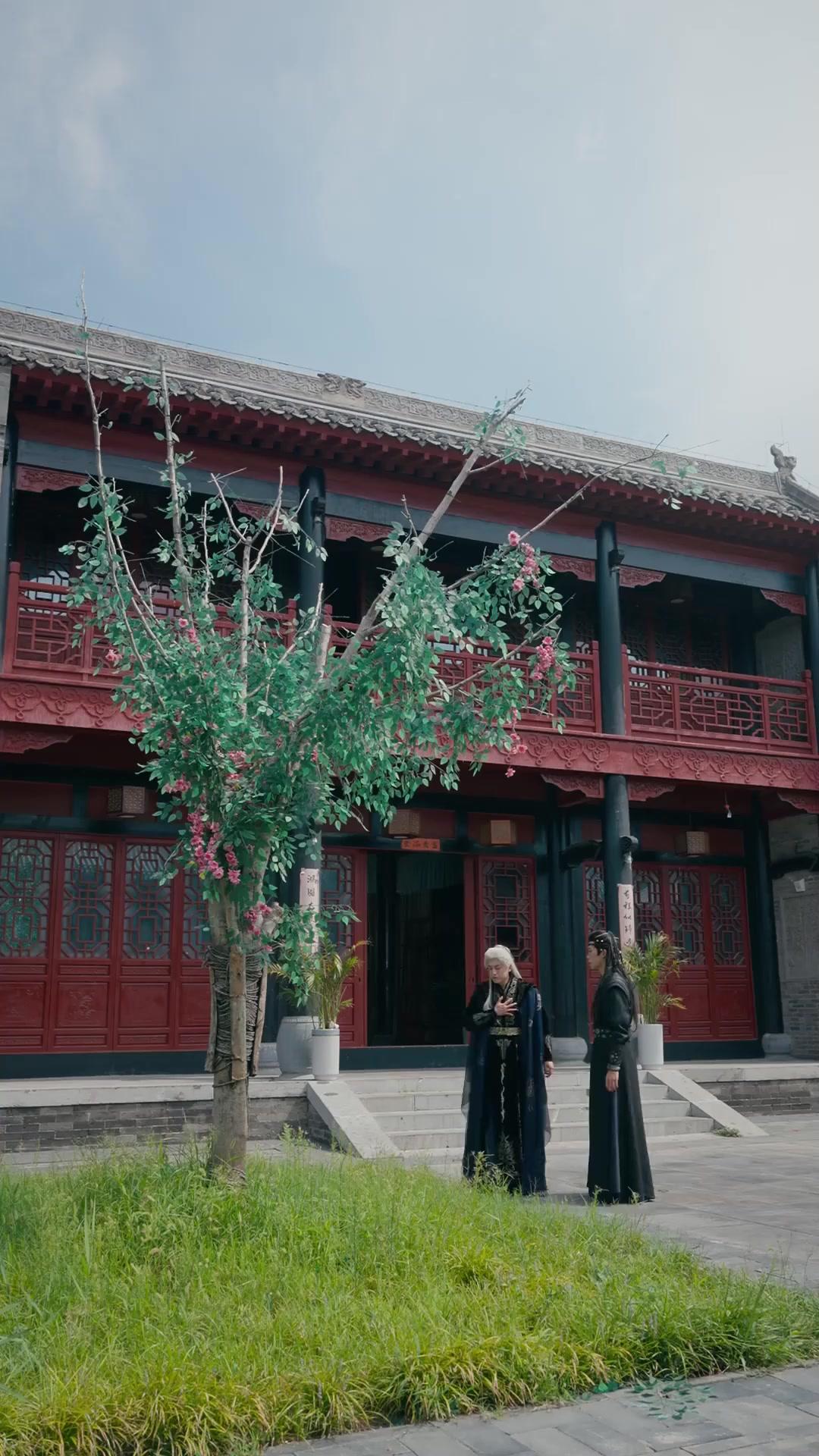 The Wolf King Is My Consort