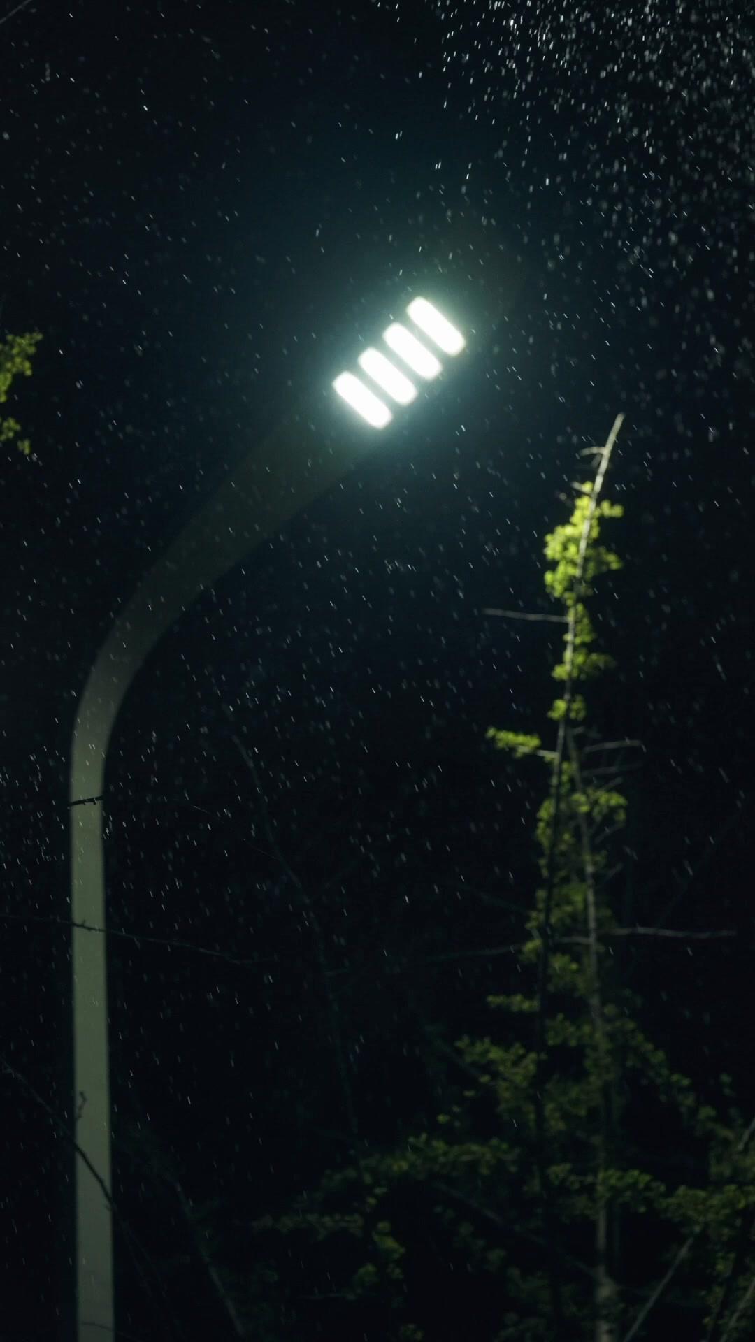 全家人跪求原諒，晚了！