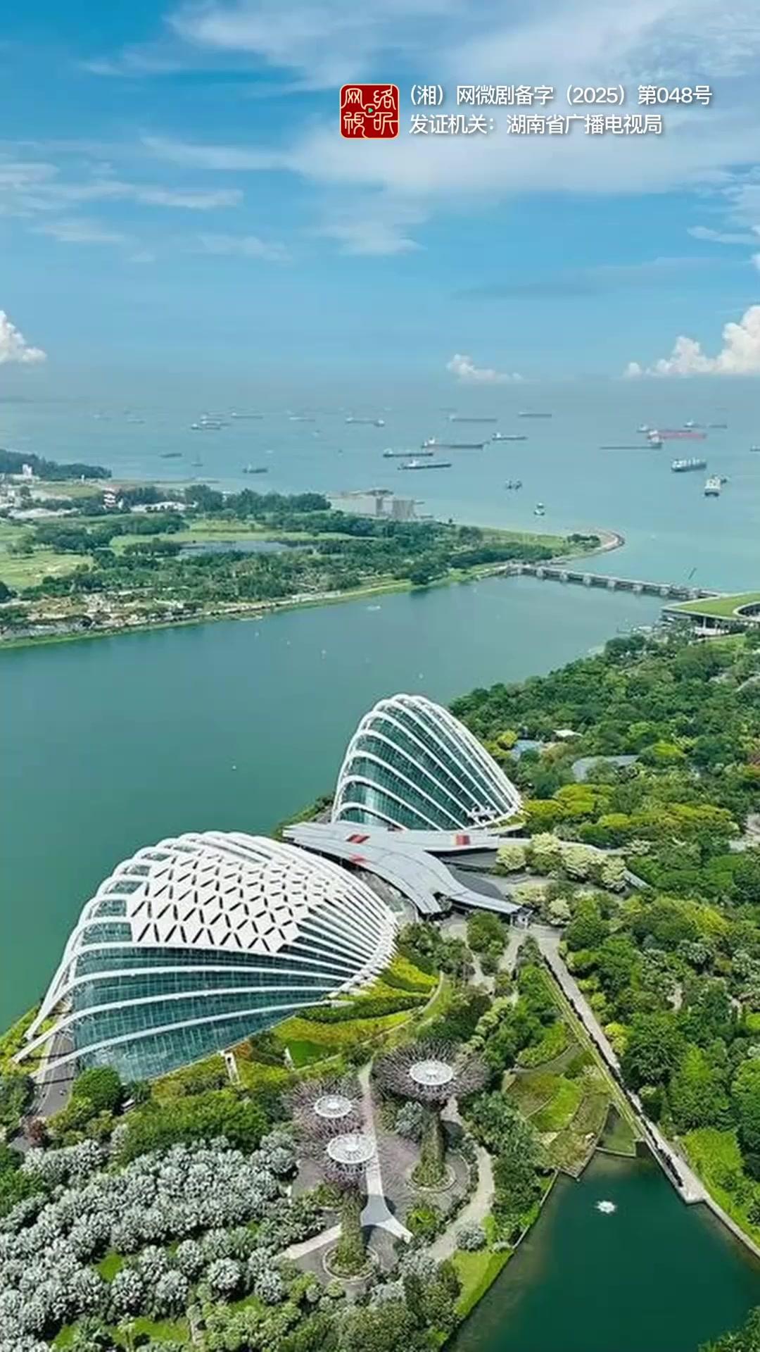 Vị Luật Sư Bí Ẩn