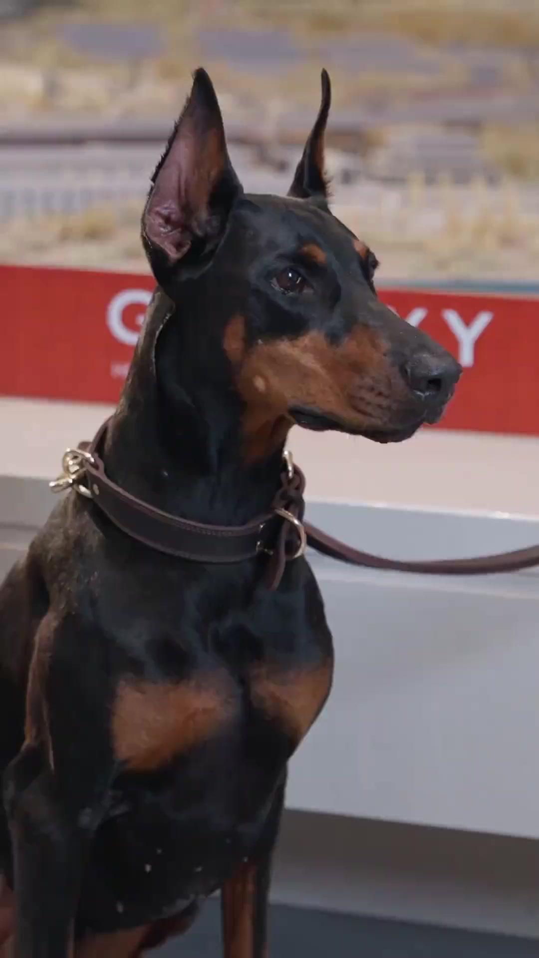 Dopo il divorzio, la nostra rinascita!