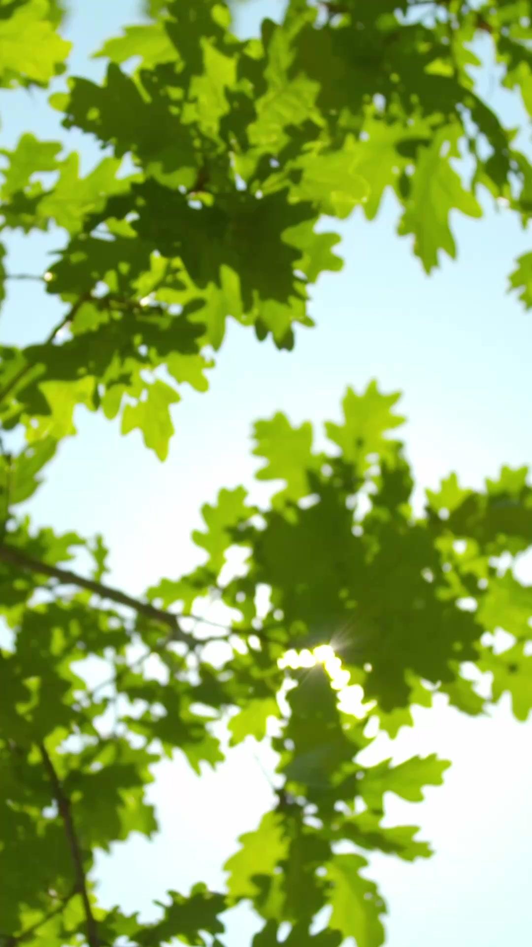 35歲，我與偏見開戰