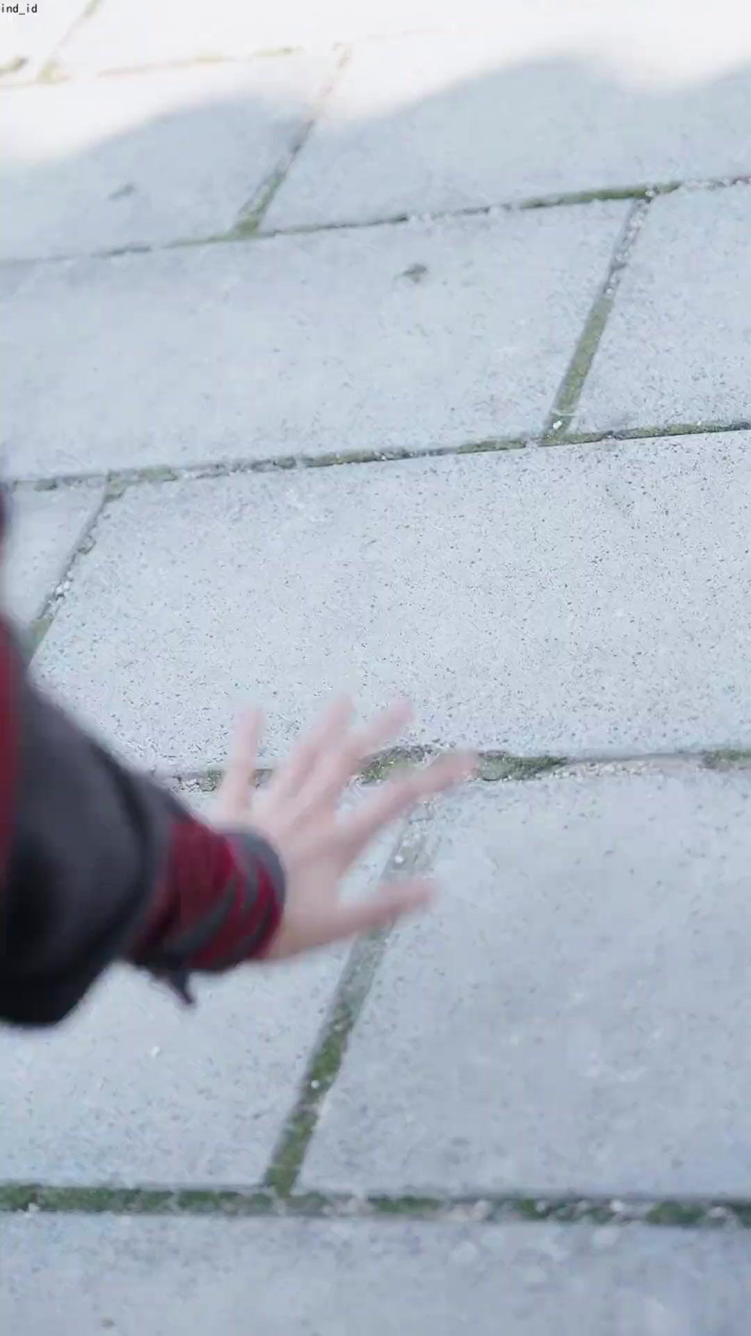 Pertarungan Elemen Es dan Api