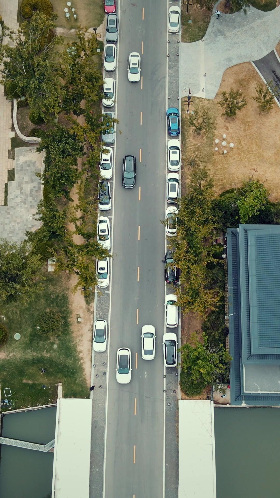 قبضة الانتقام