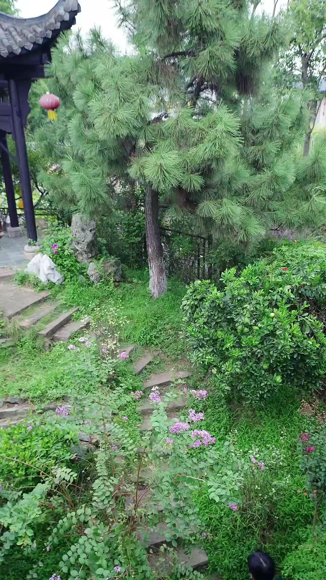 현세 강림! 신선님의 러브 미션