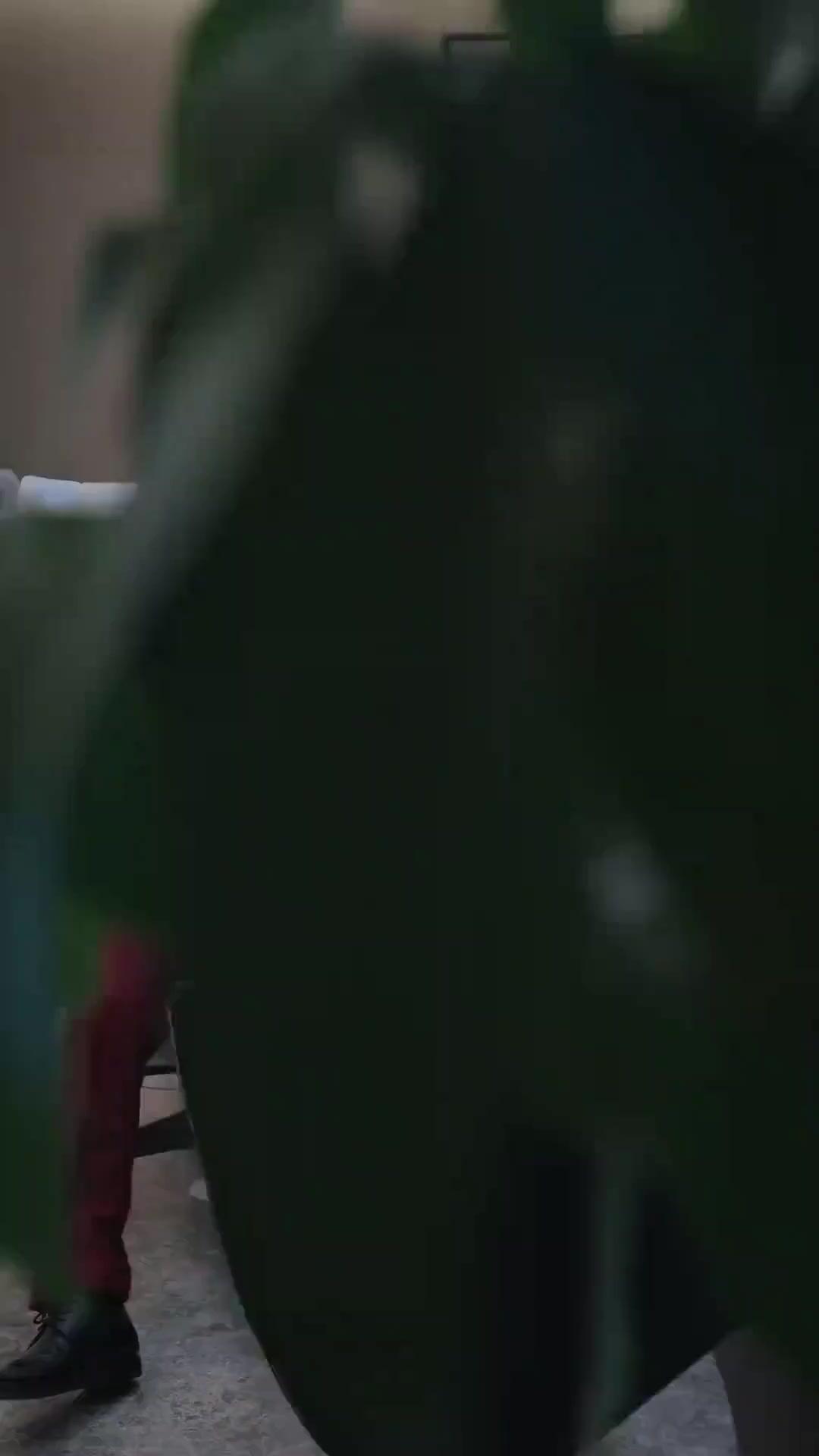 (Dubbed)She Was Mine First