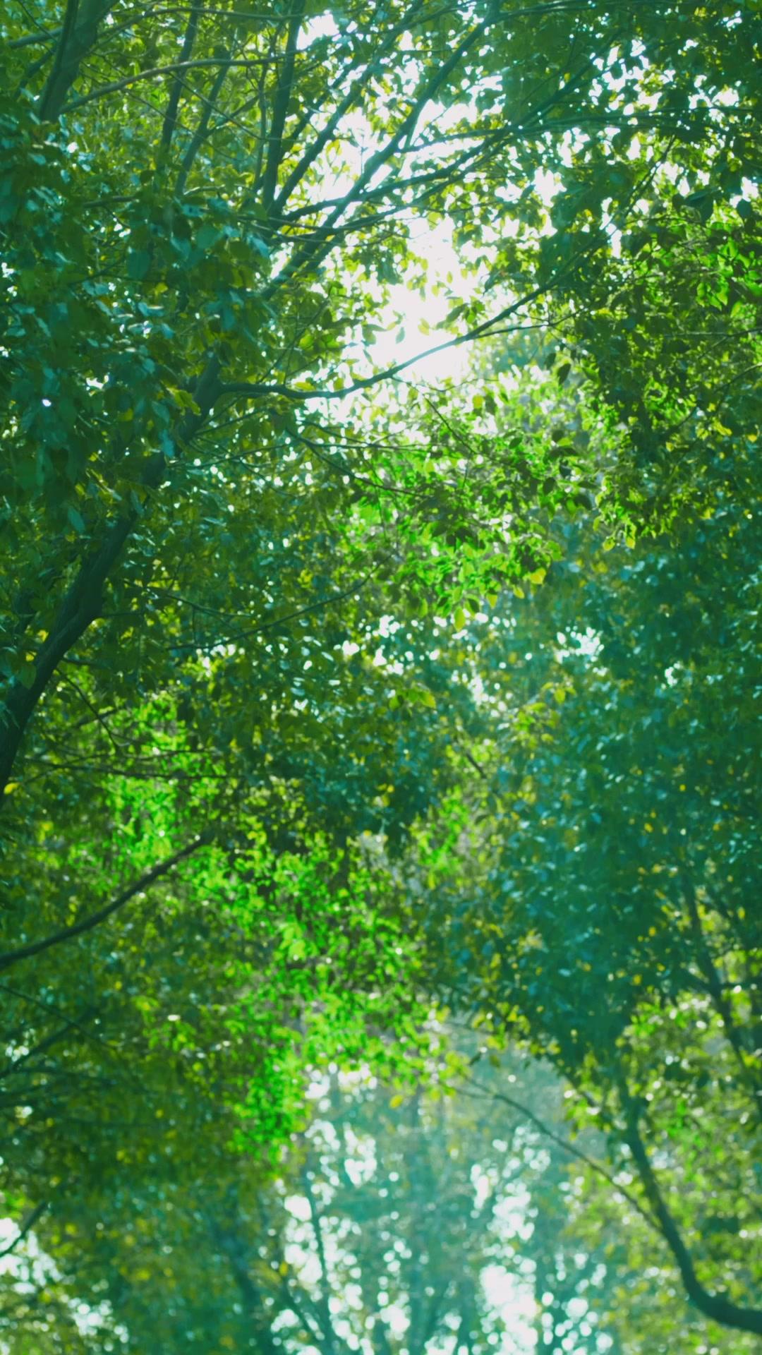 From Ashes to His Embrace