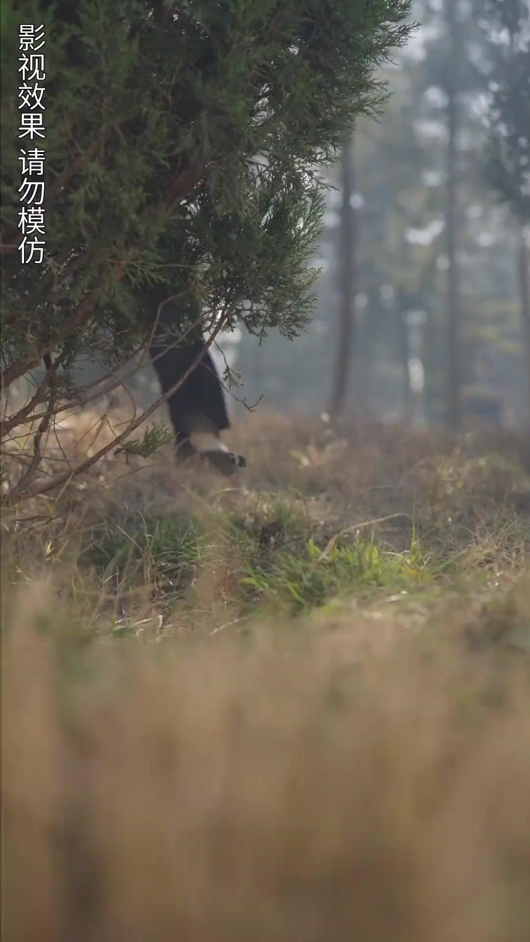 電撃婚で姿を晒す奥様