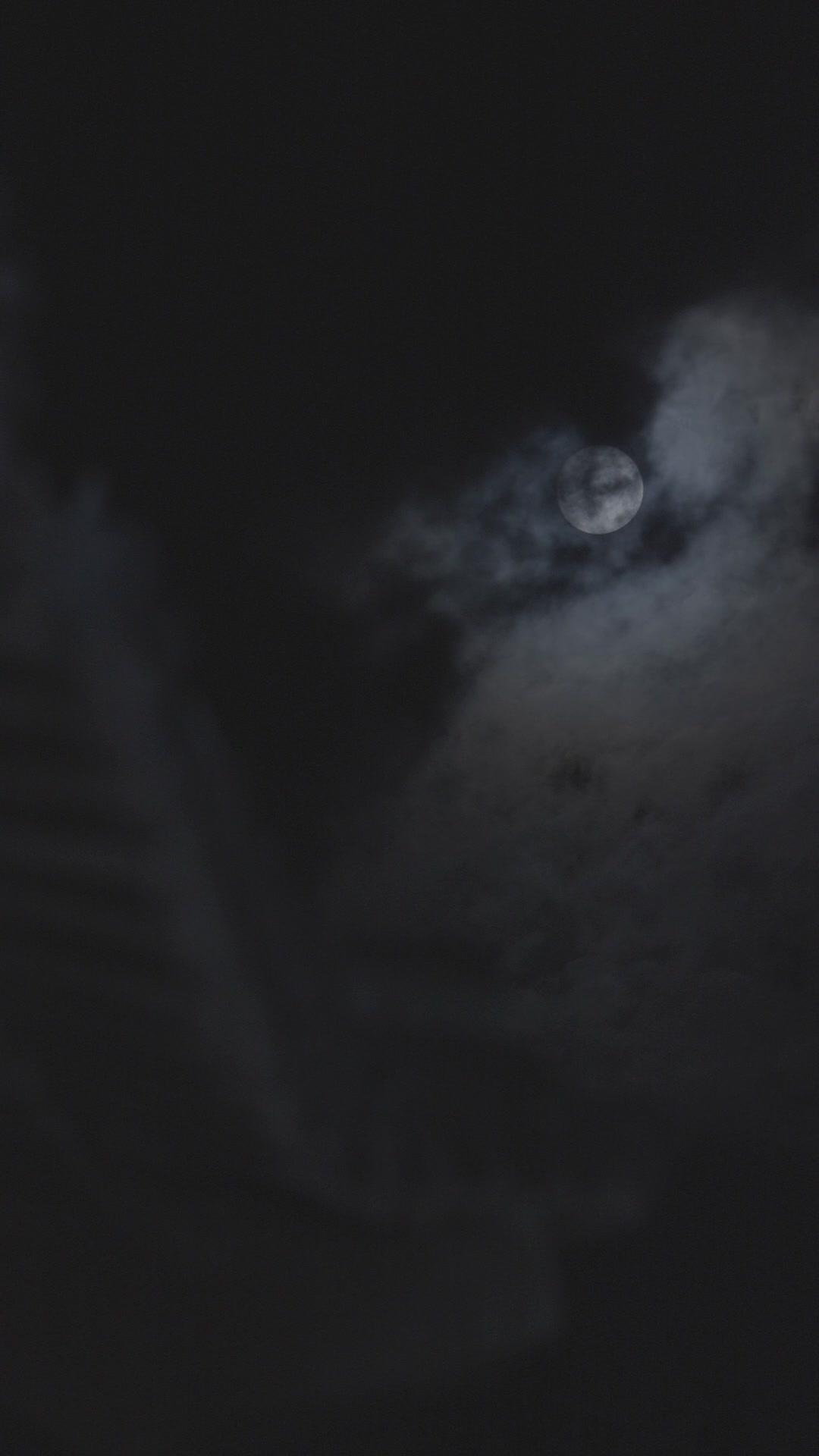 Ms. CEO's Invincible Guard