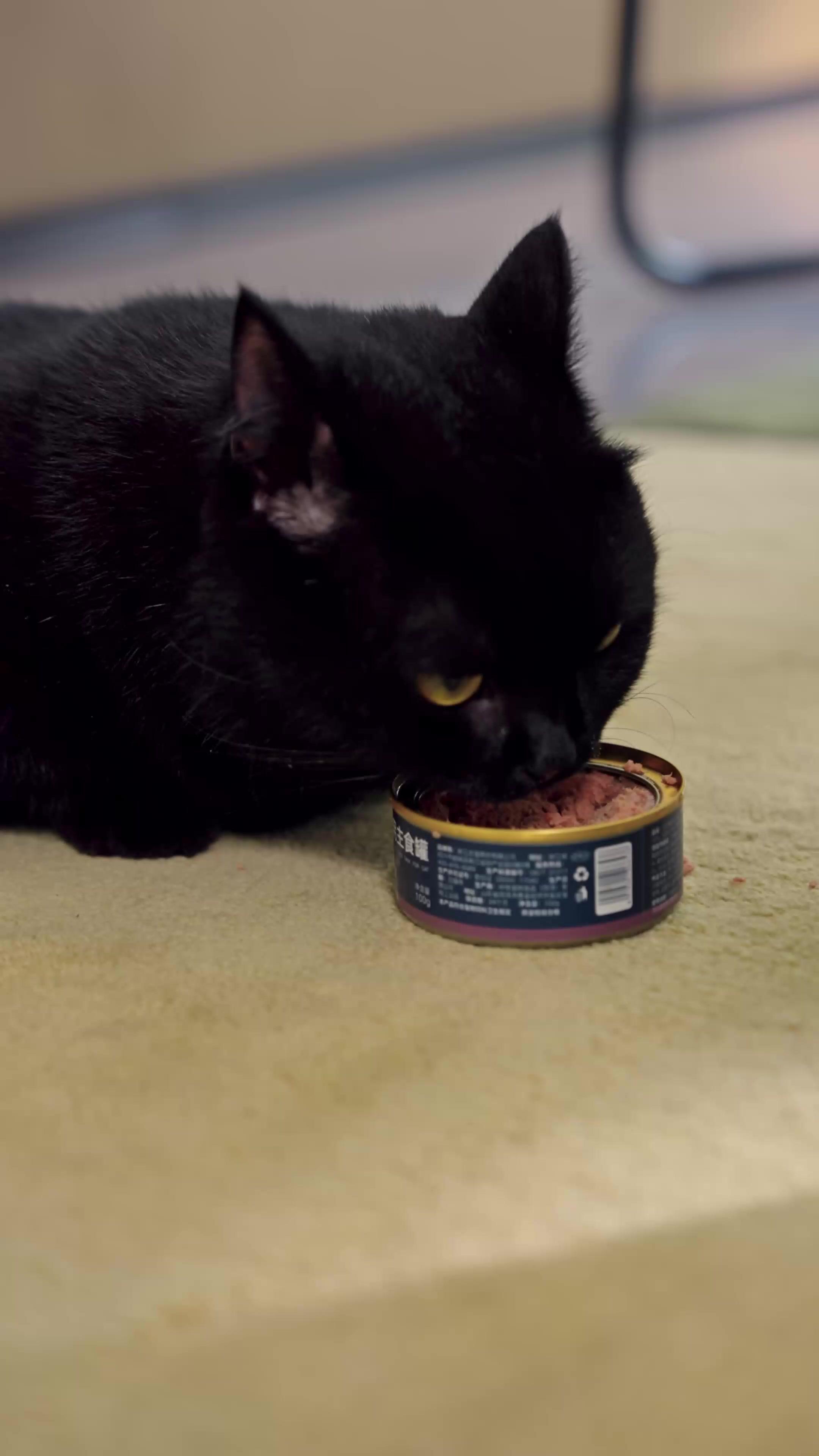 สัญญารักยมโลก