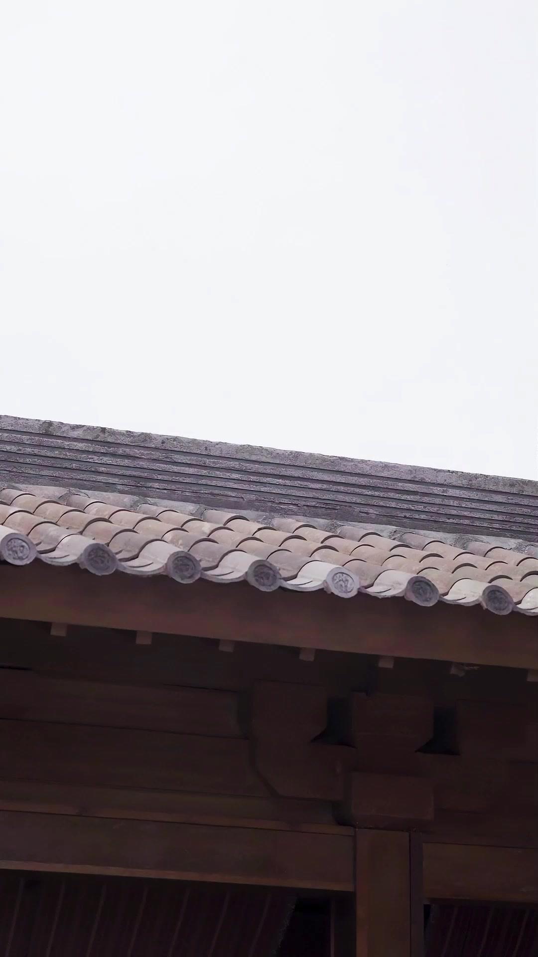 Príncipe heredero del imperio