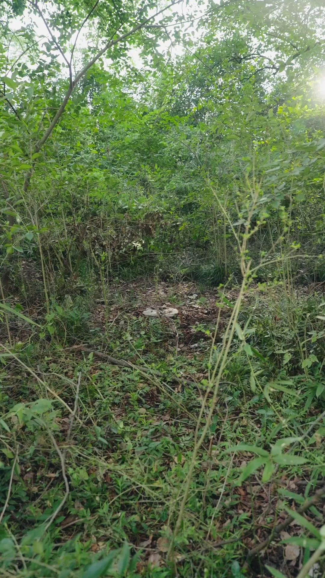 Sang Peramal di Tengah Kelaparan