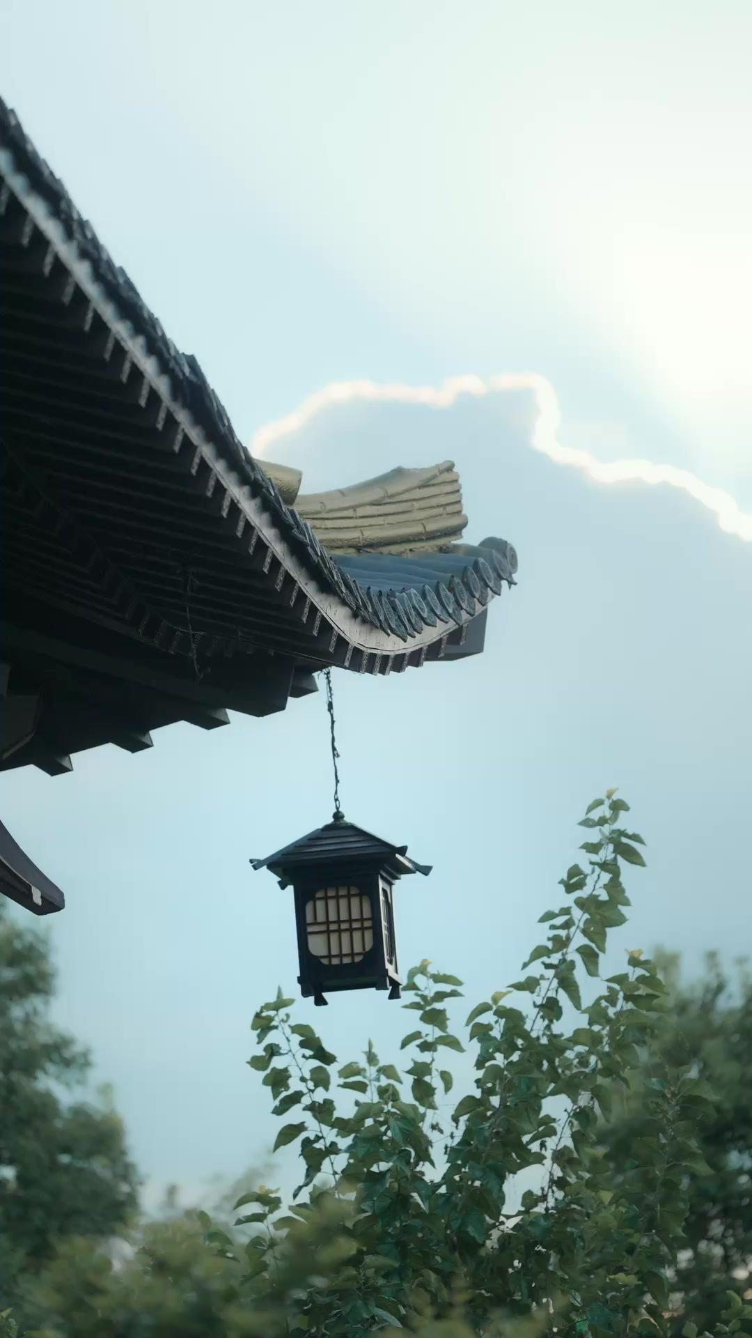 I Borrowed a Prince to Rewrite My Fate 