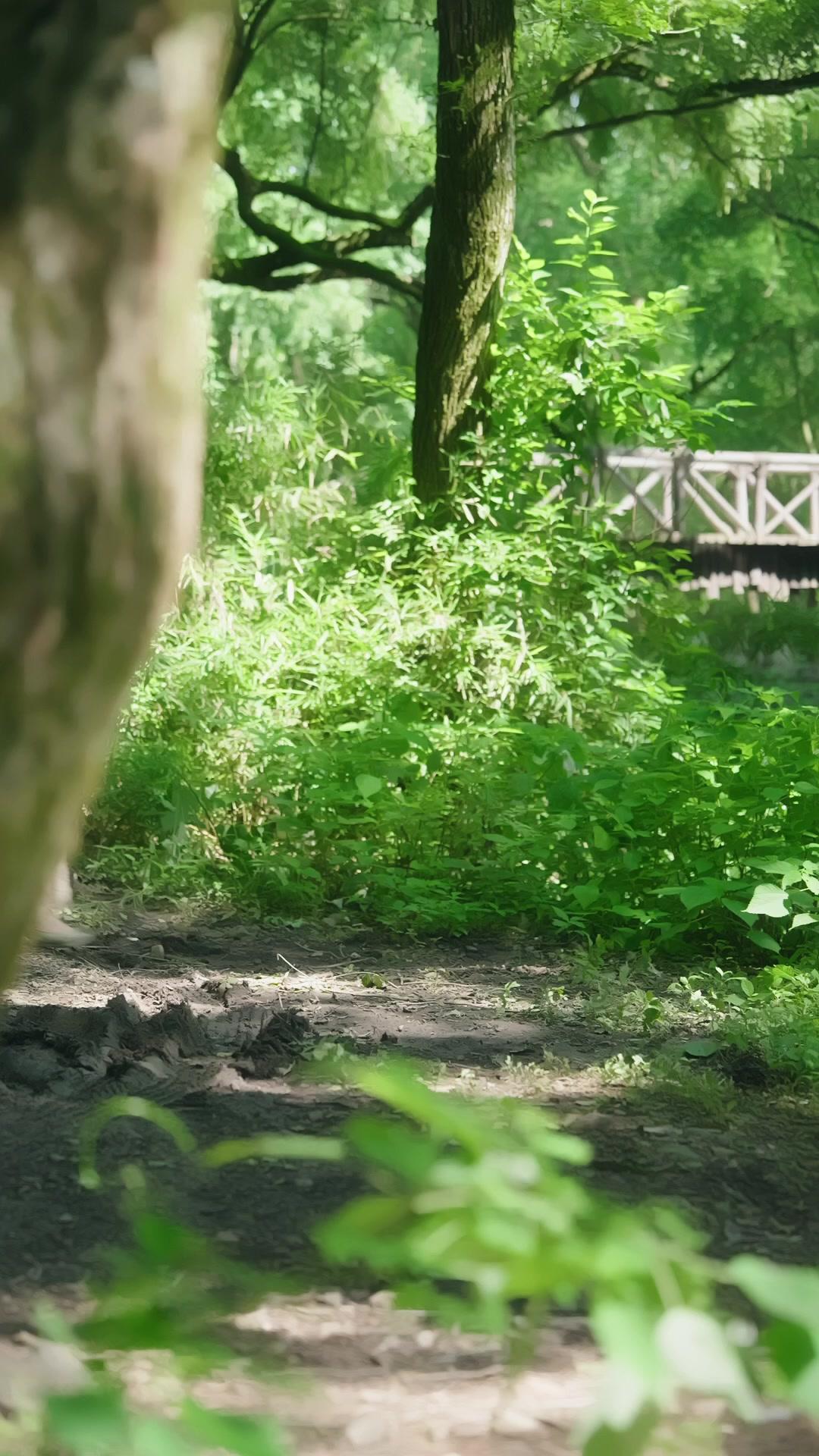 Vezirin Bereketli Eşi