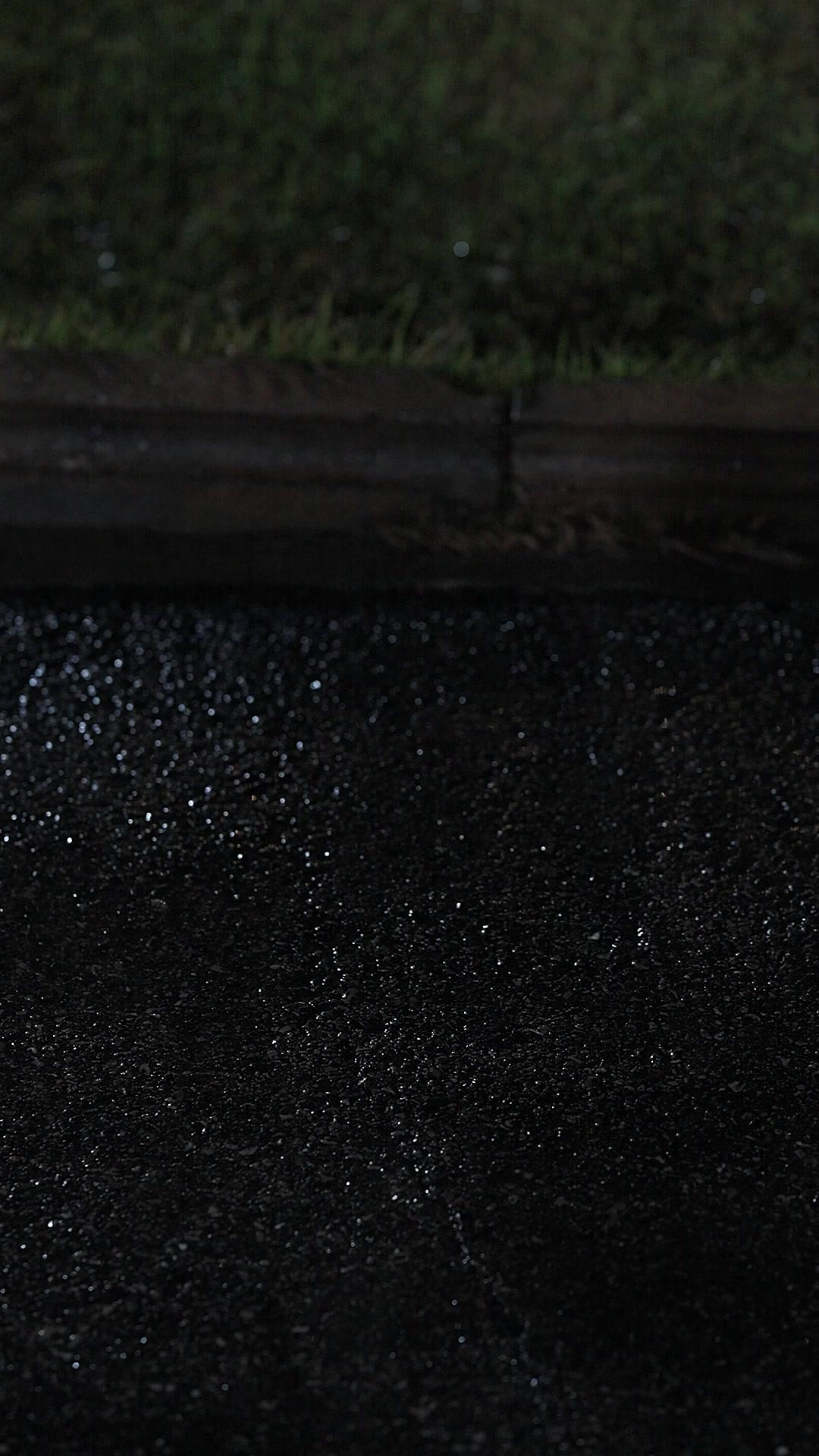 ฟื้นชีพ ราชินีเอาคืน