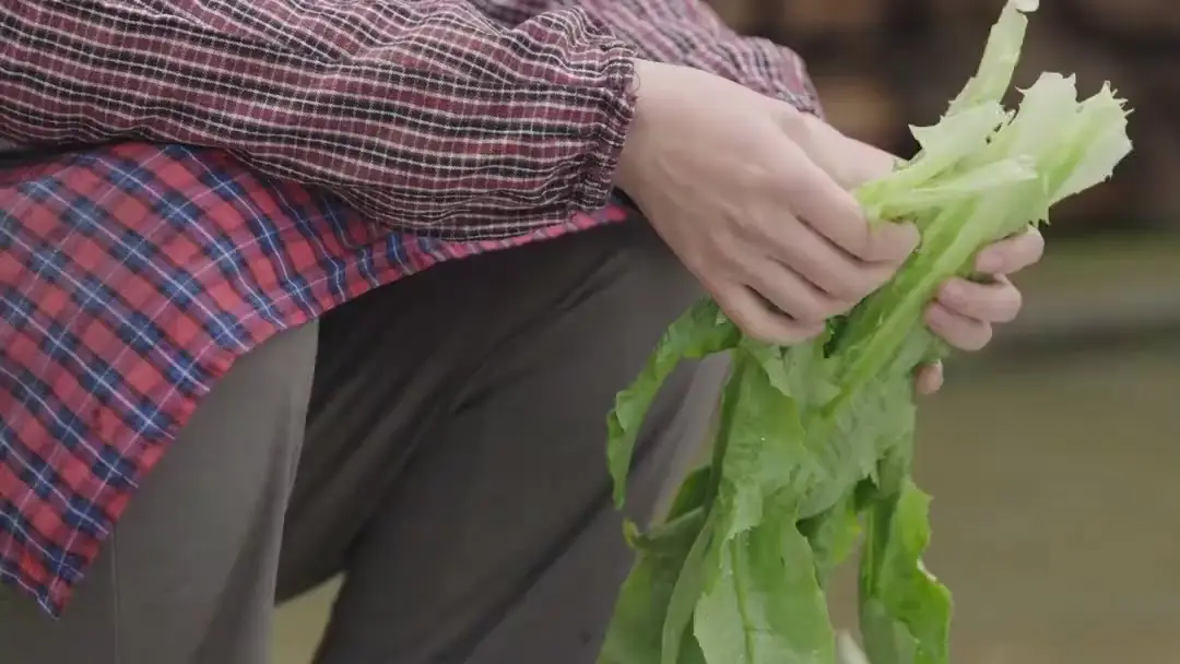 When the Cane Hits the Pavement