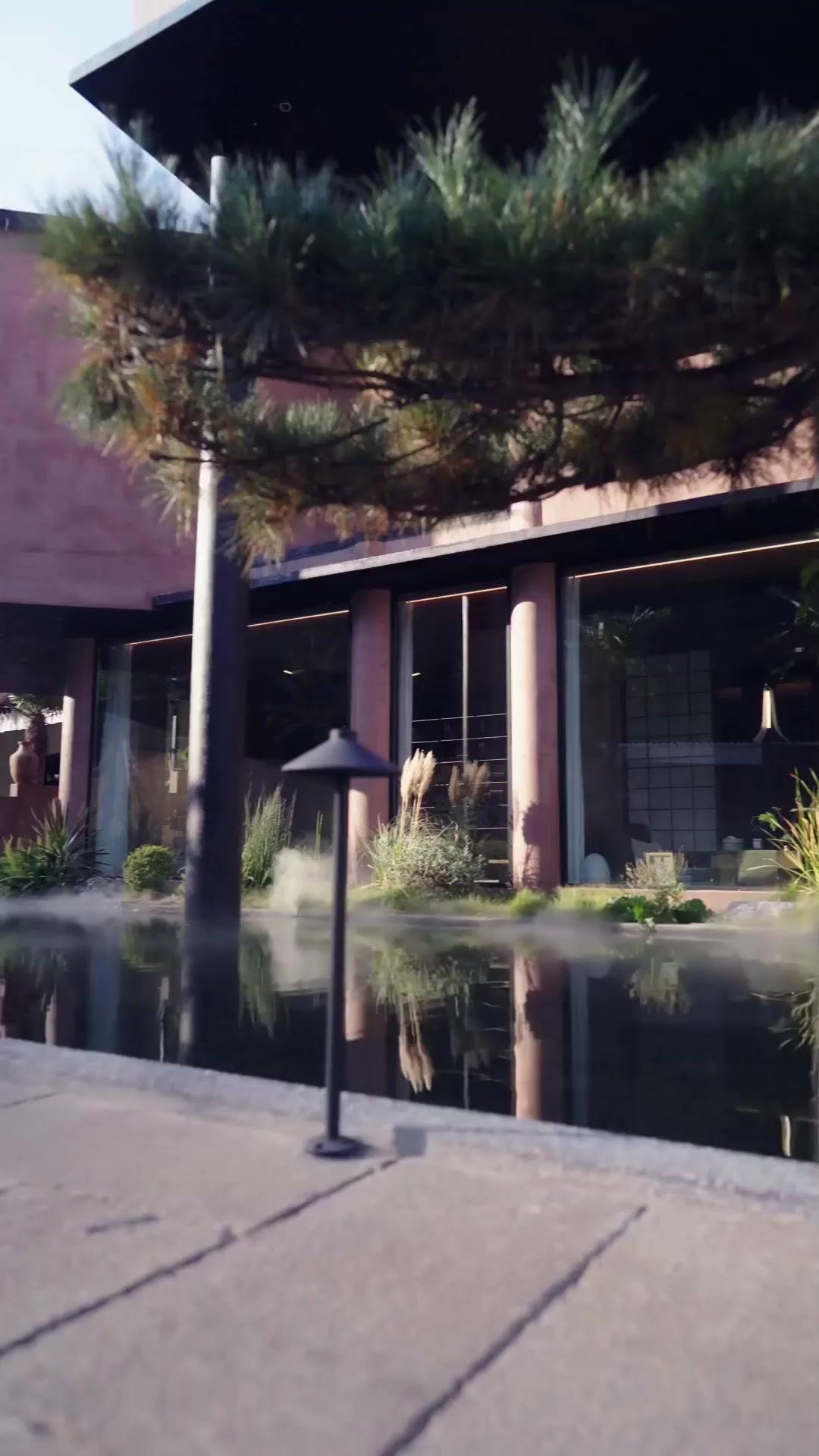 Coração em Conexão: Os Dois Irmãos Me Amam