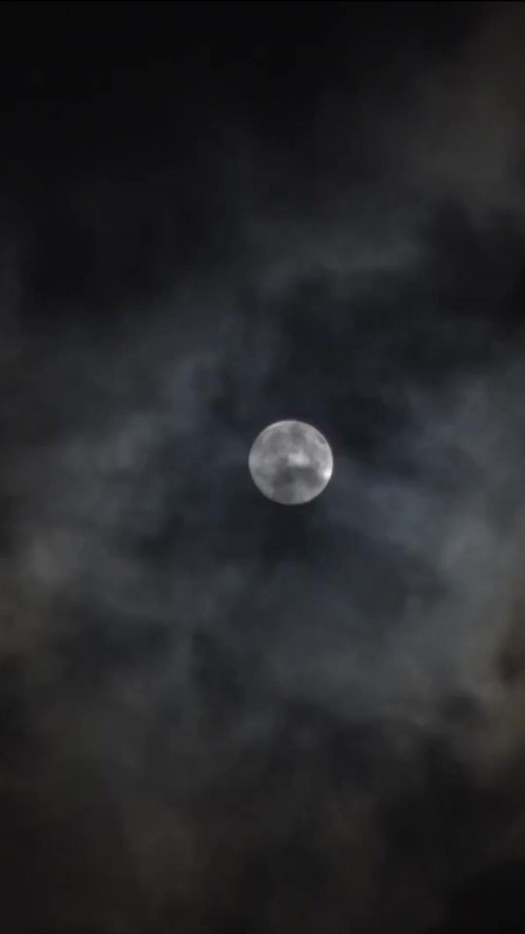 Pedang Terangkat, Penyesalan Terlambat