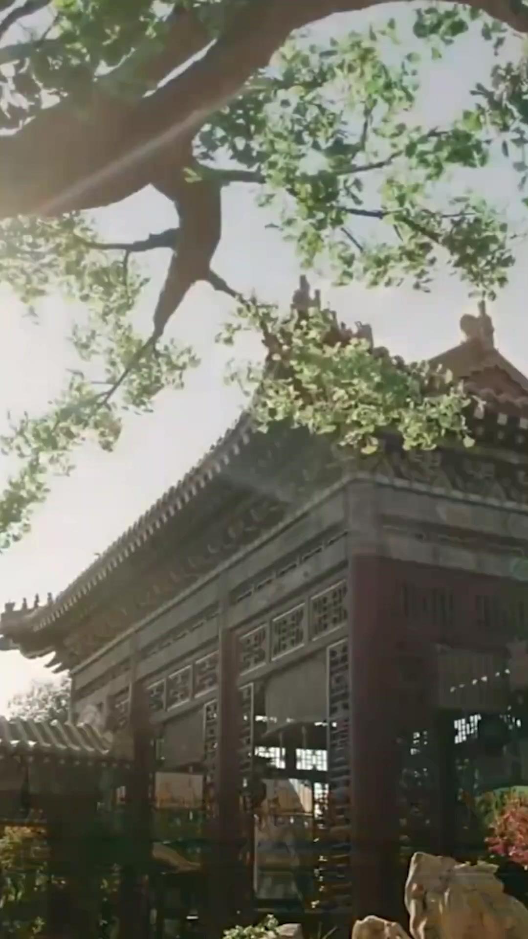 My Clingy Husband by Contract