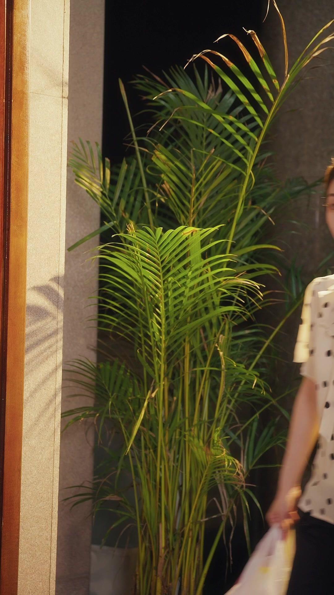 UNE VIE REUSSIE APRES LE DIVORCE