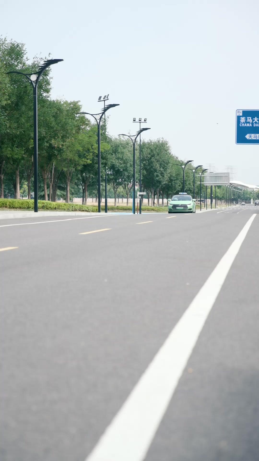 娘を救え！弁護士である母の逆転裁判