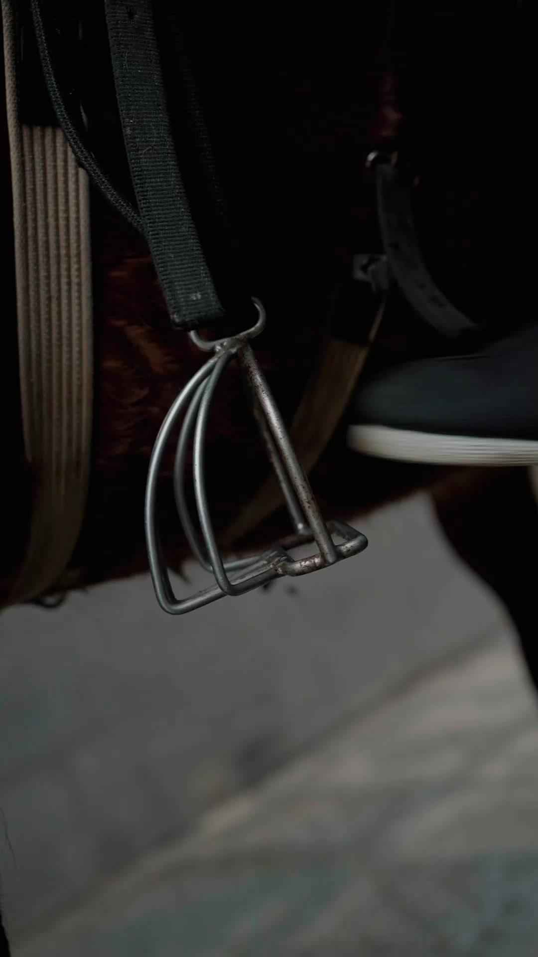 Schicksalsball: Das Spiel von Macht und Liebe