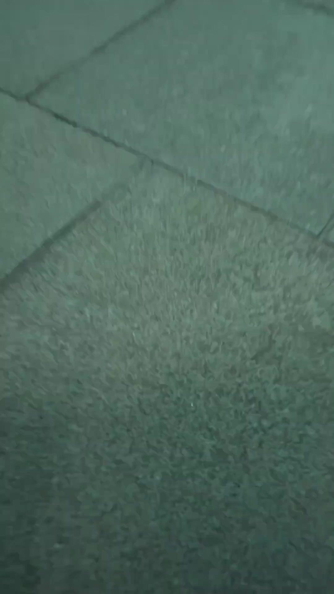 (مدبلج) الحارس الشخصي الذي لا يُقهر