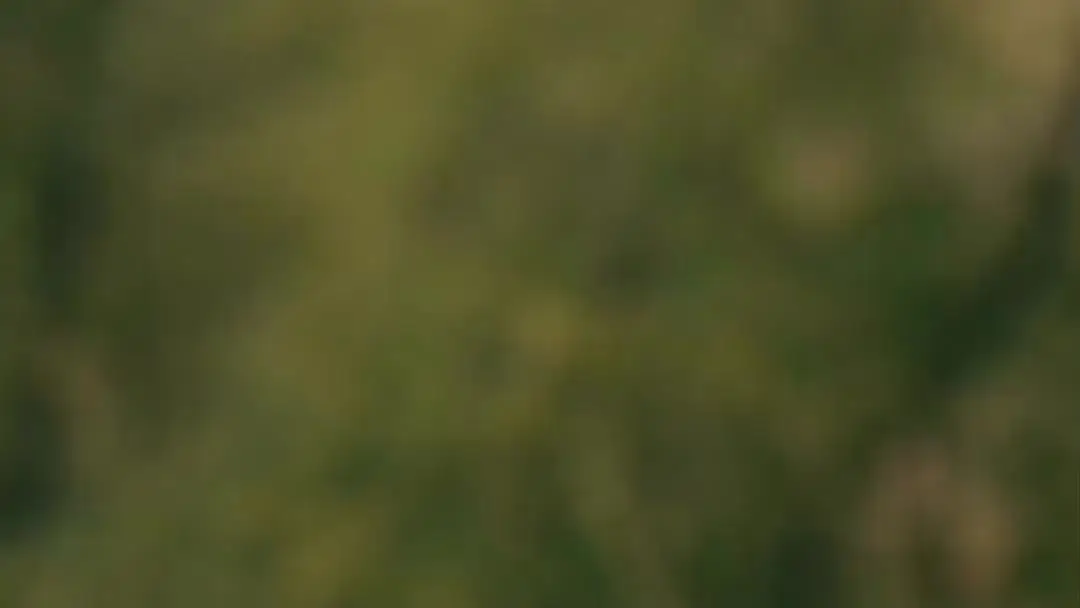 When Tea Time Turns Into Truth Bomb