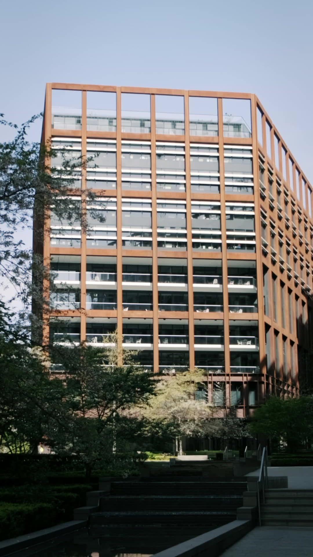 Say you remember, say you love