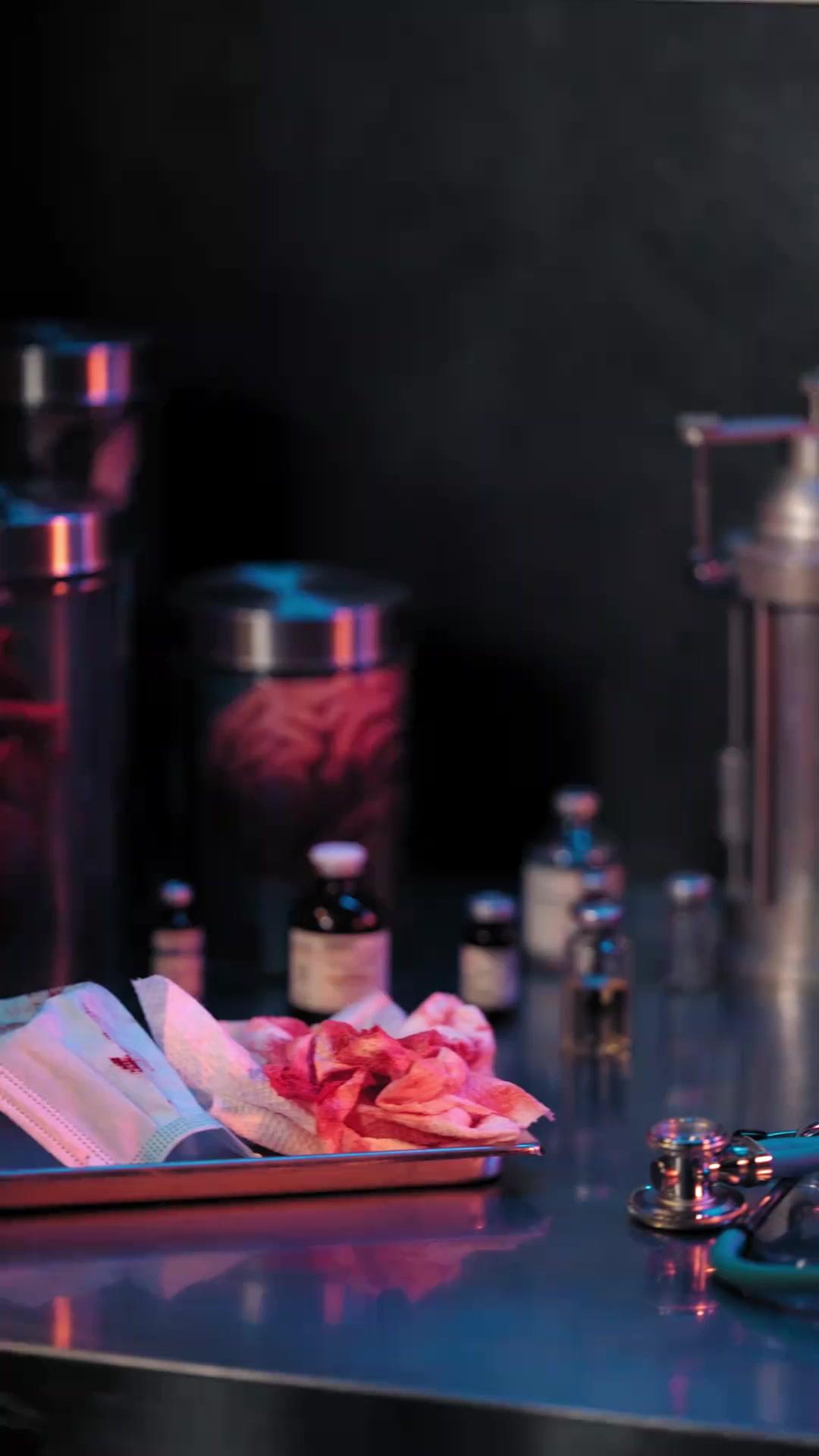 A Noiva Predestinada do Rei Alpha