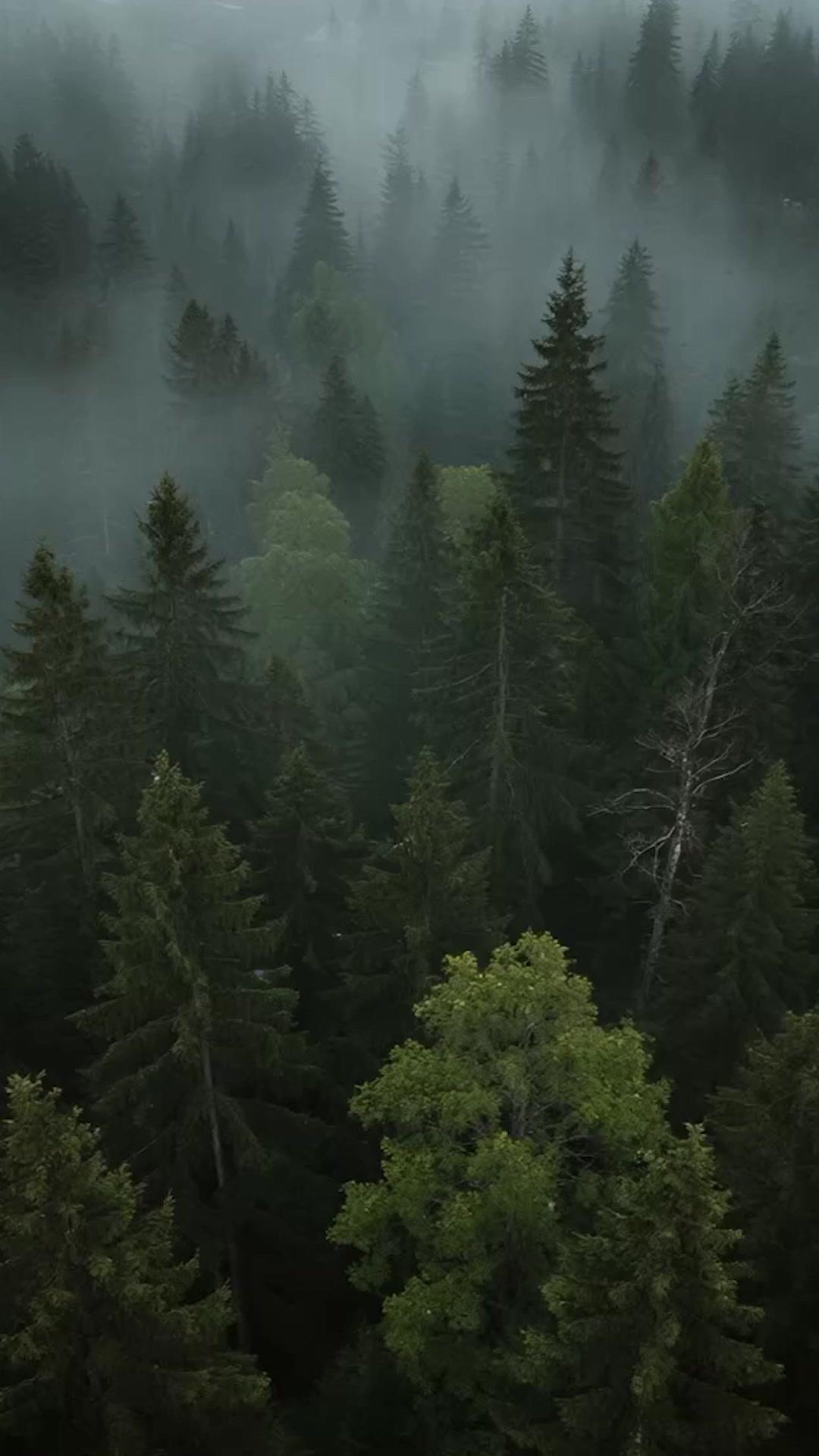 หมัดเผาสวรรค์ 