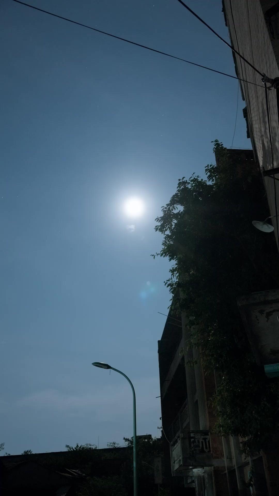 My Missing Son Becomes a Billionaire?!