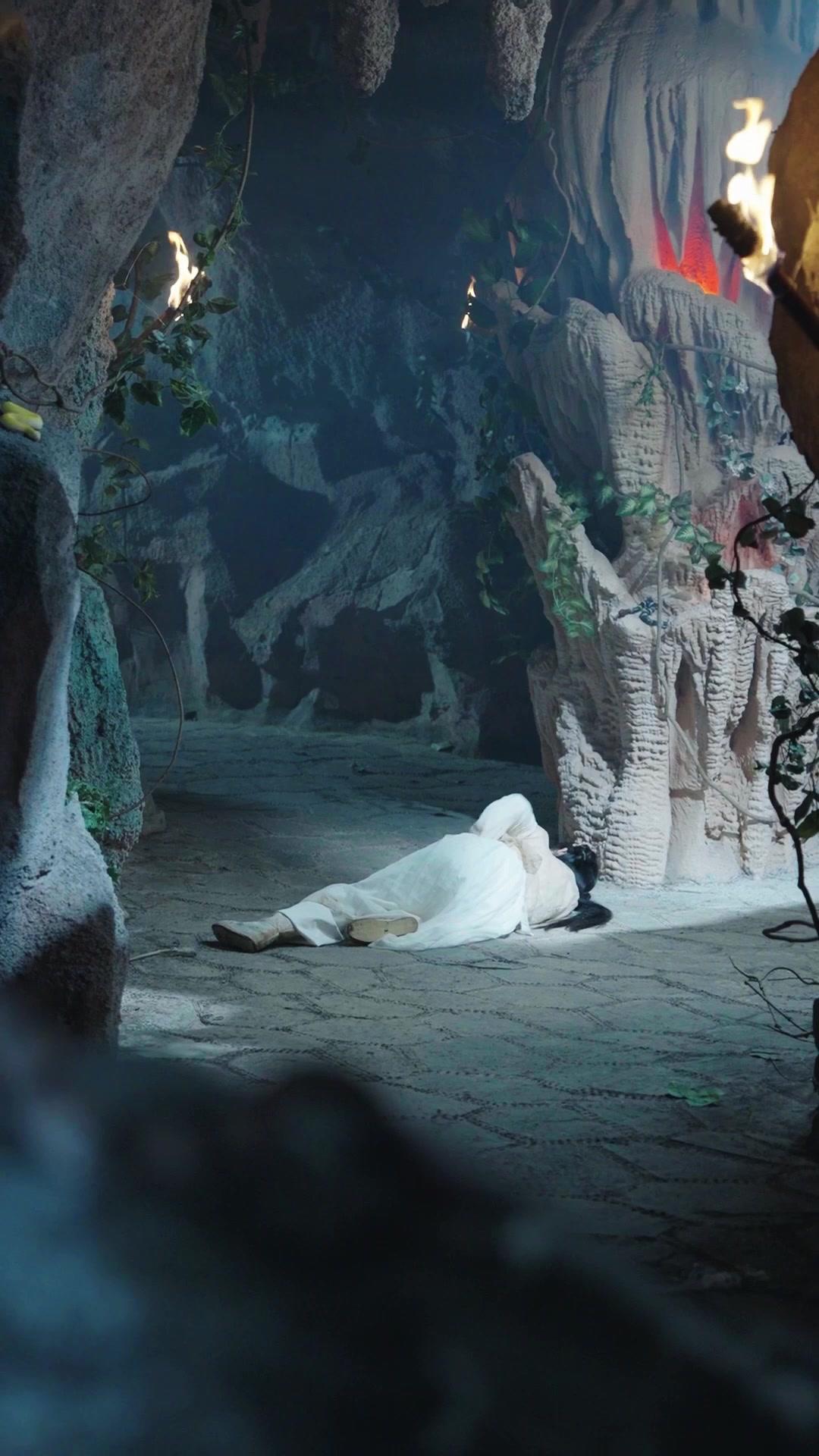 Kawalan Jiwa Binatang