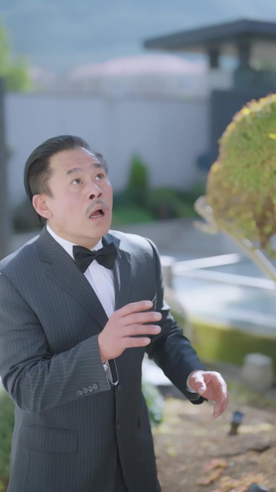 Fallen Heiress Rising to Glory