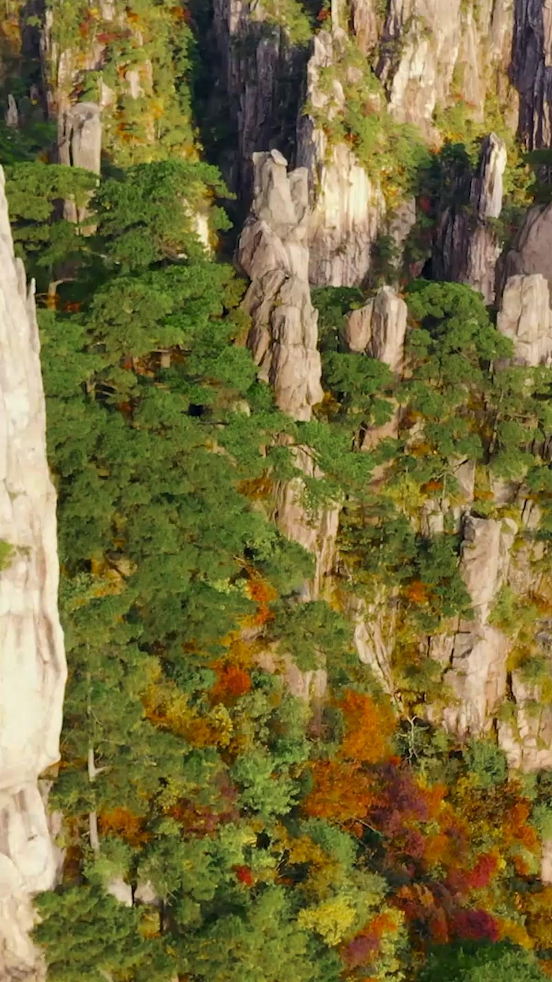 Treasury Queen Returns