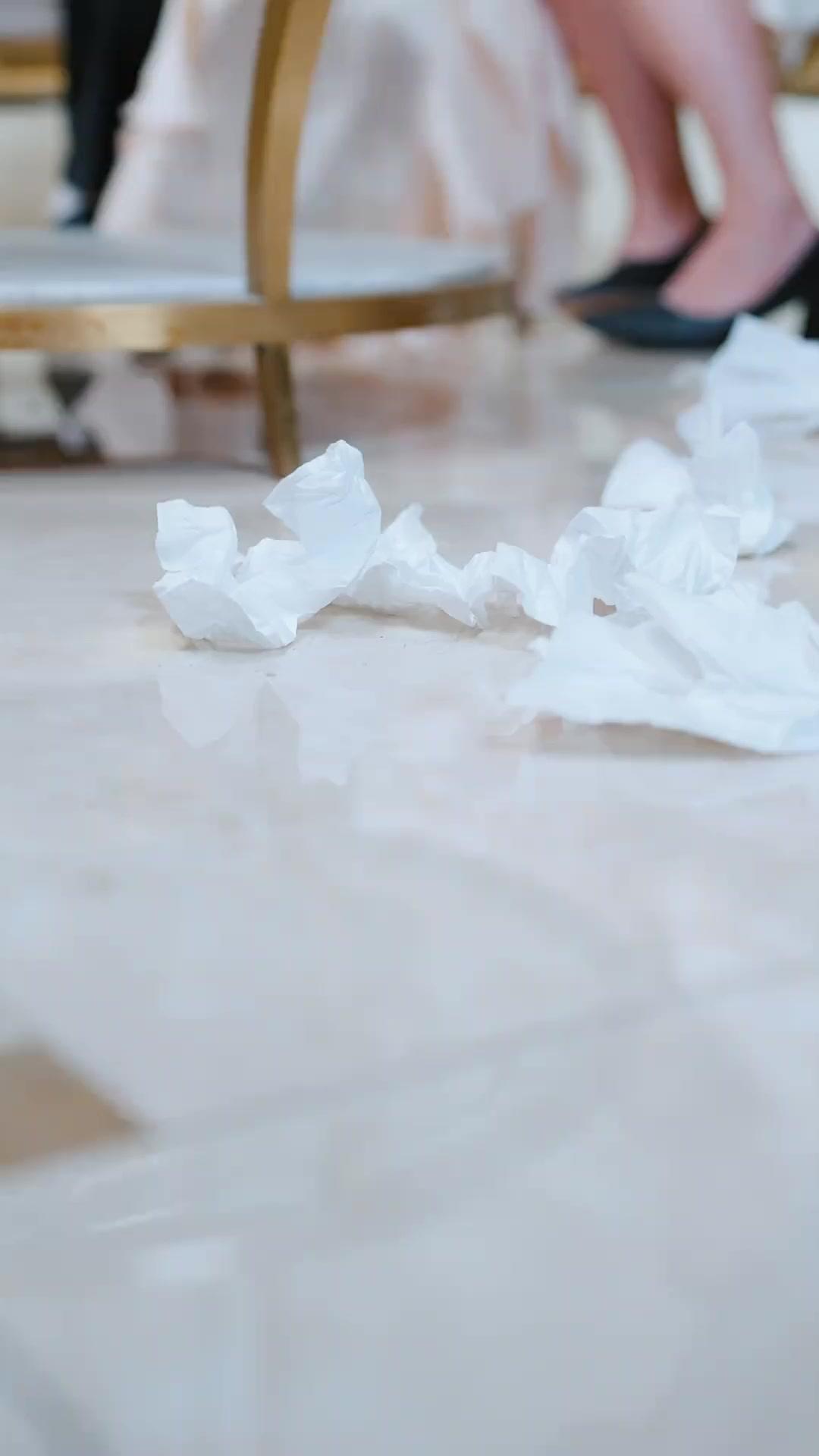 このメイド 「悪役」がお仕事です