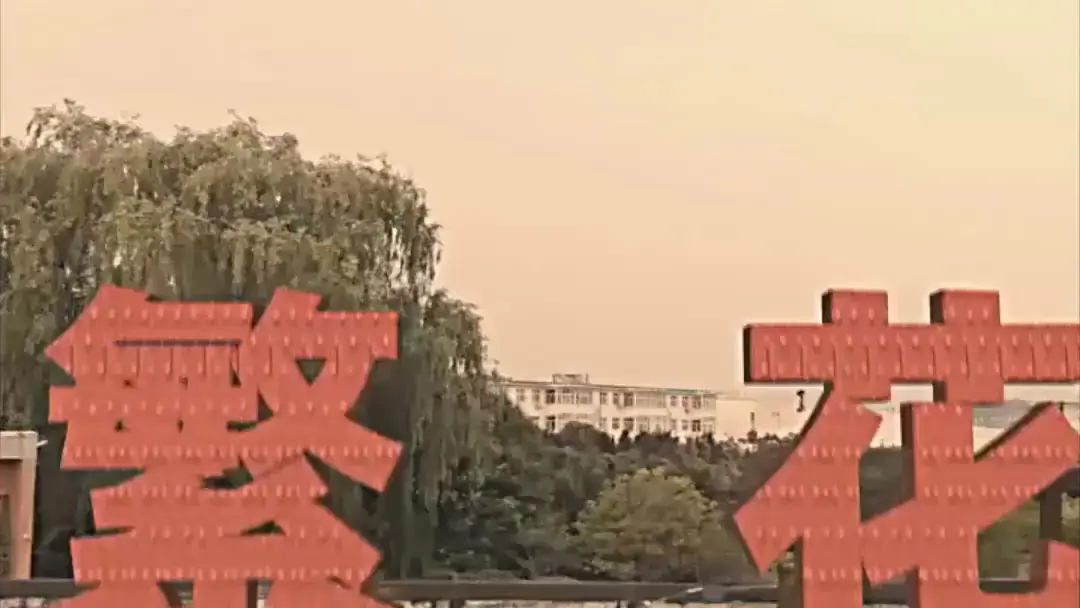 When the Director Walks In