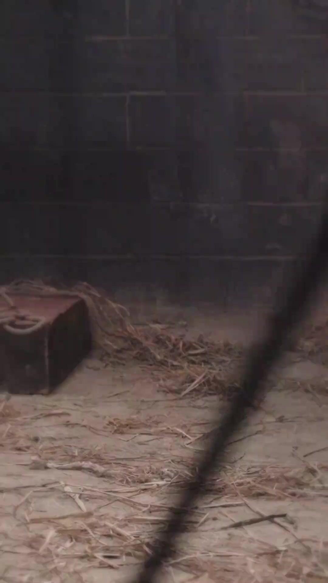 She Will Burn the Throne