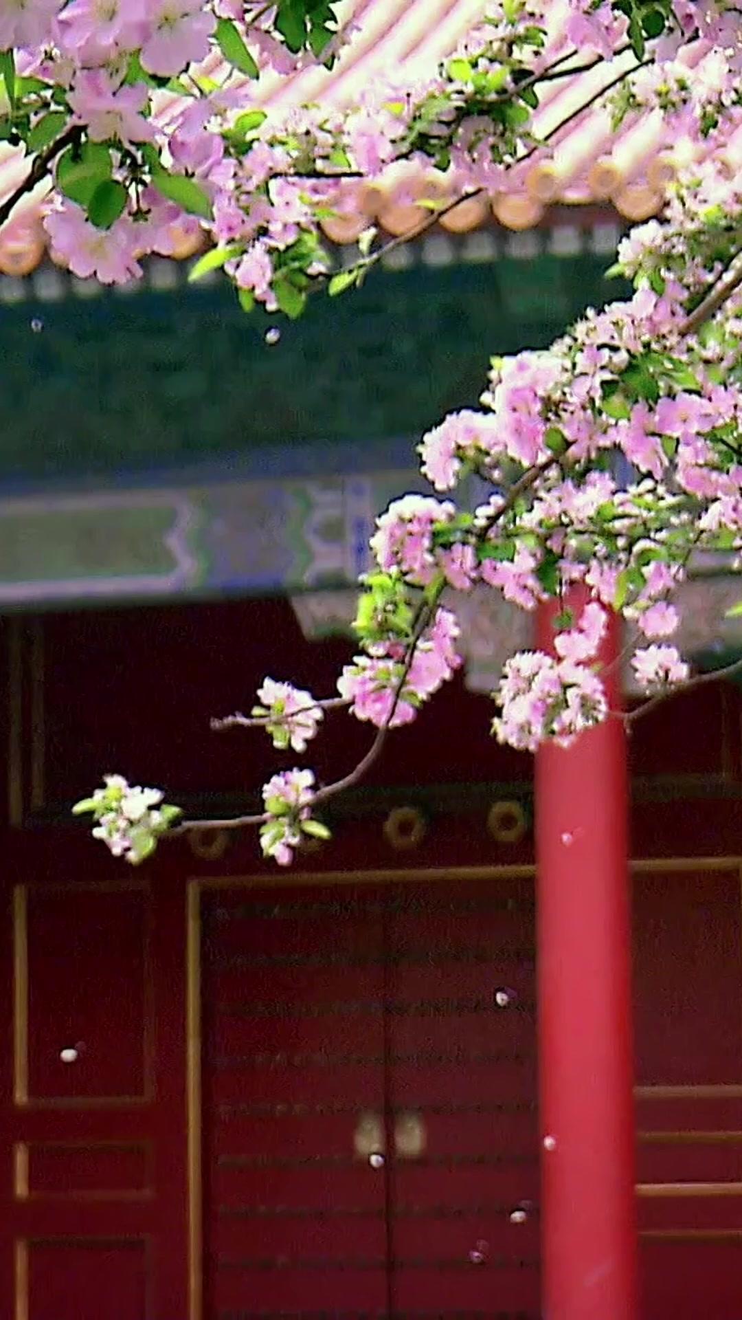 The Marriage Exchange: Now I Marry for the Crown