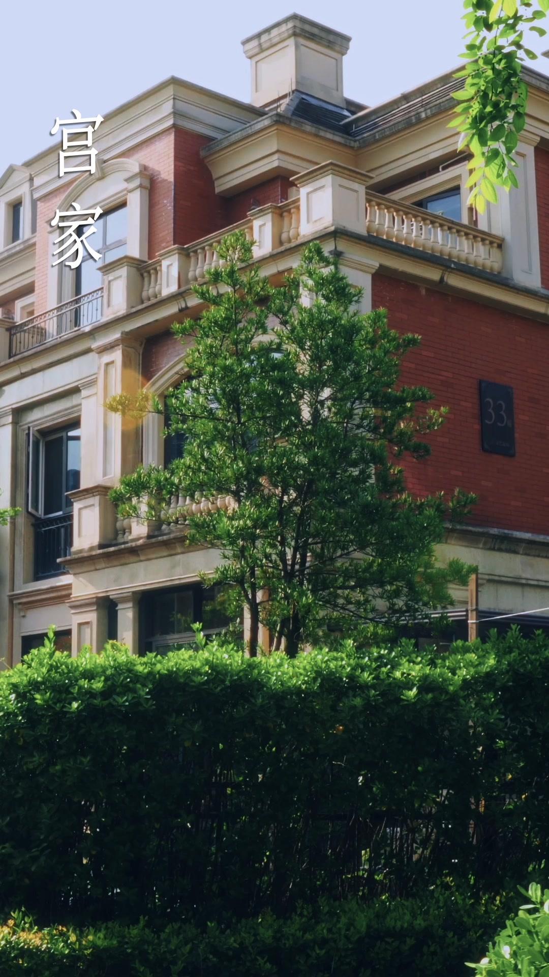 你離開後的第七個冬