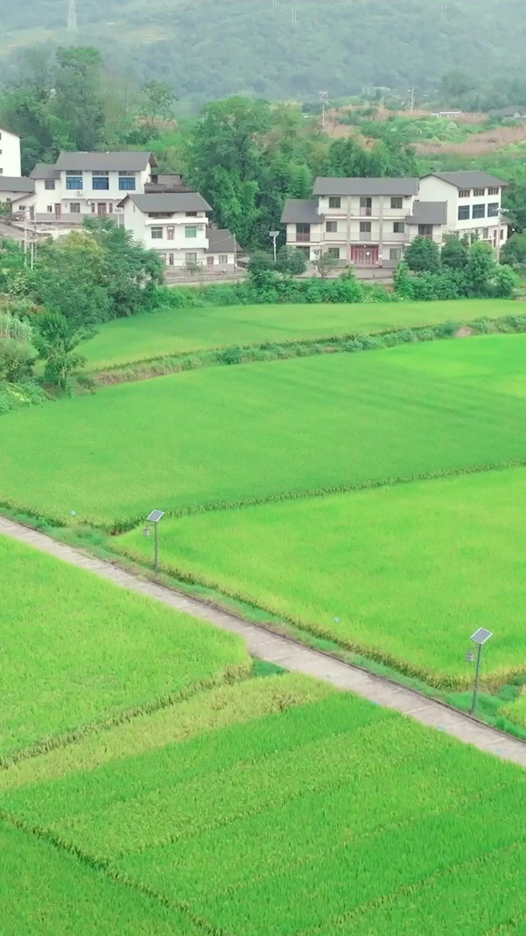 L'EXTRÊME DISCRÉTION