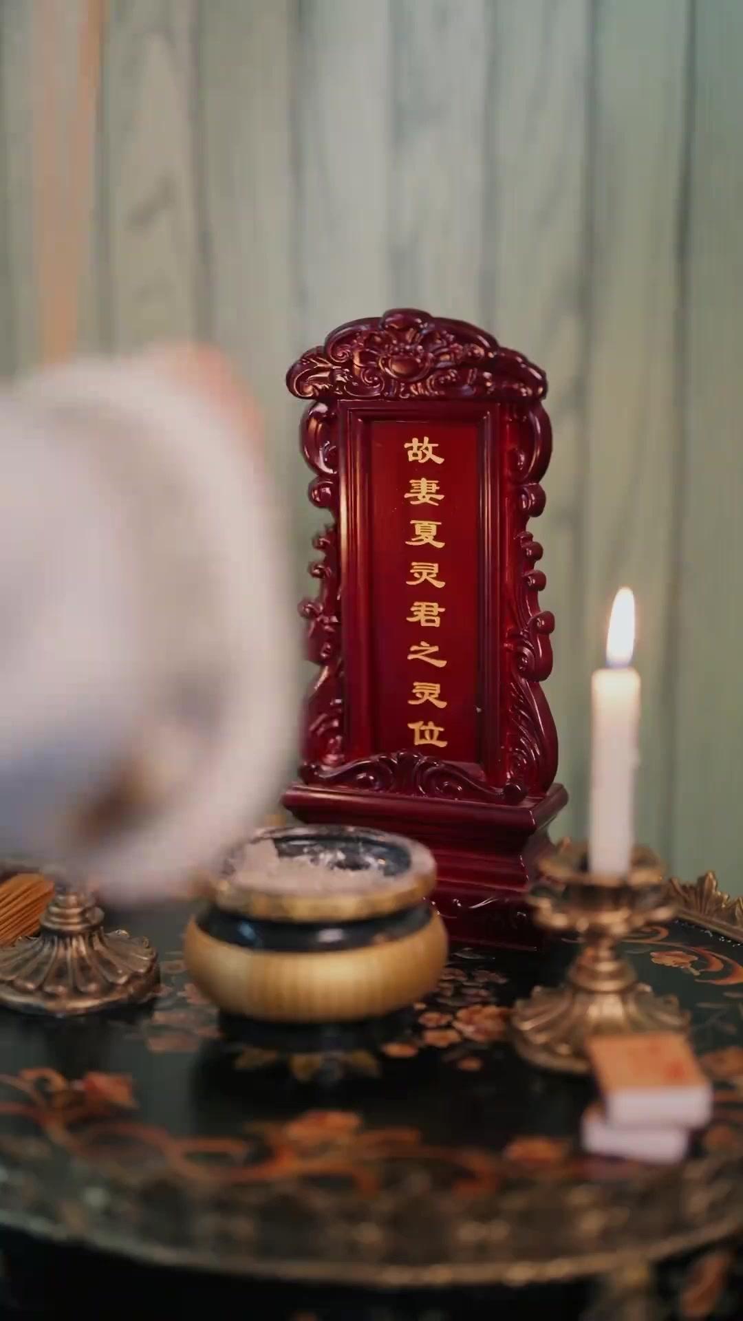 Eve Dönen Varisinin Hikayesi