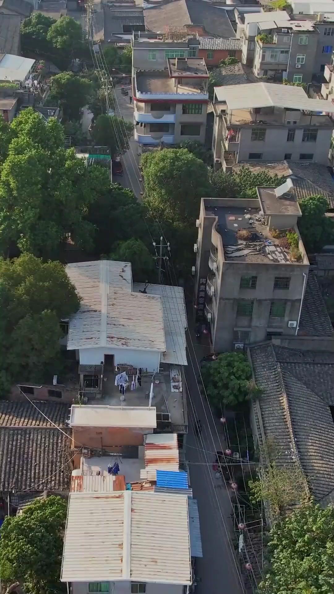 รักสามเรา