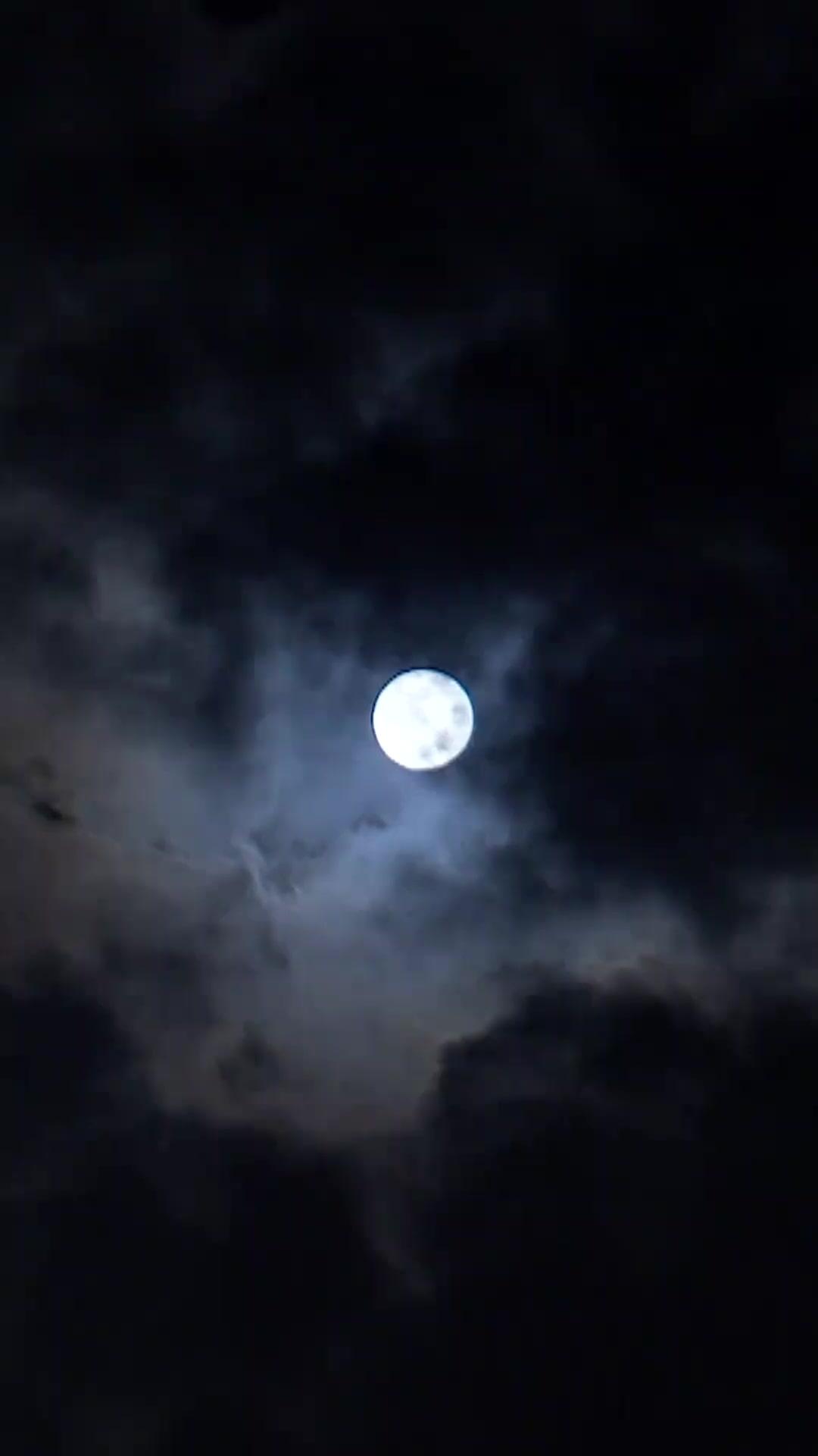 (مدبلج) غطرسة المليار... وسقوط القرار