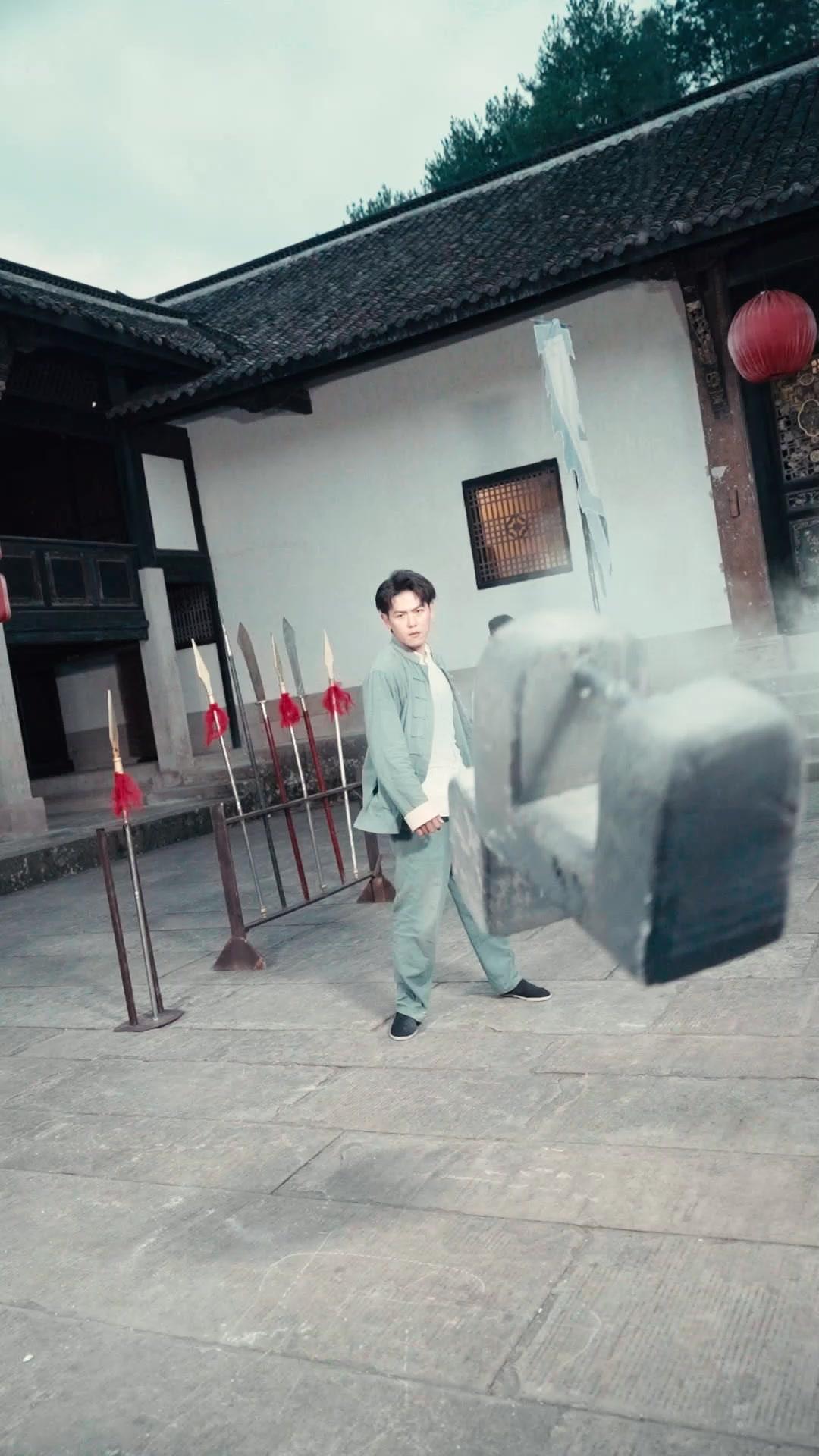 The Tiny Martial Master