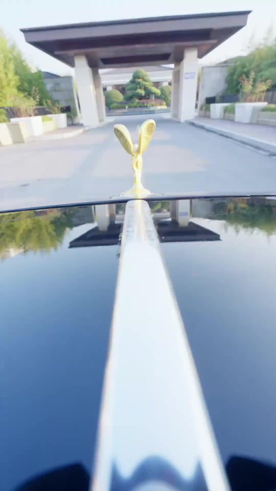 نسيم المساء يقرأ قلبي