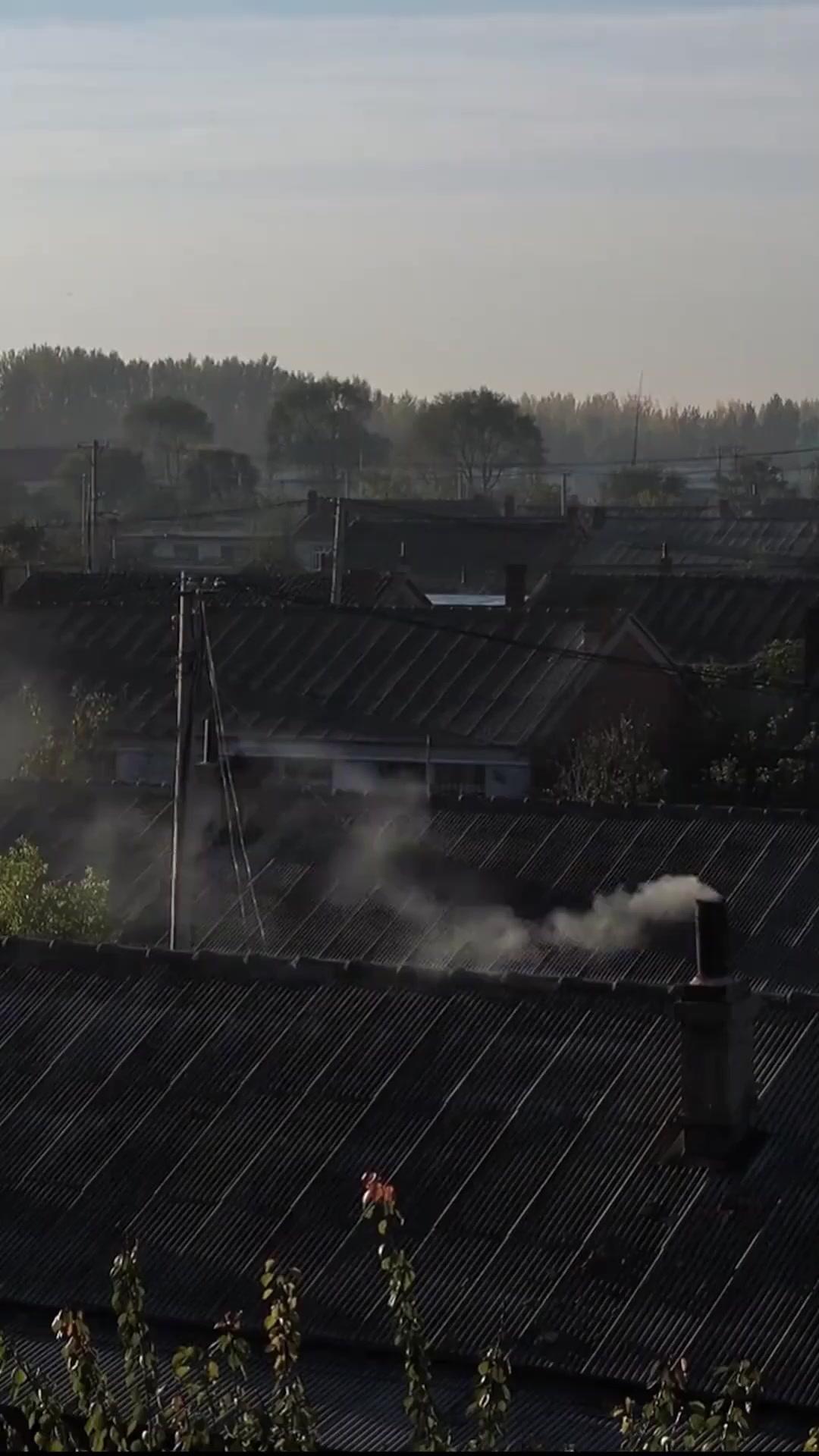 若様、私の復讐劇に首を突っ込まないで！