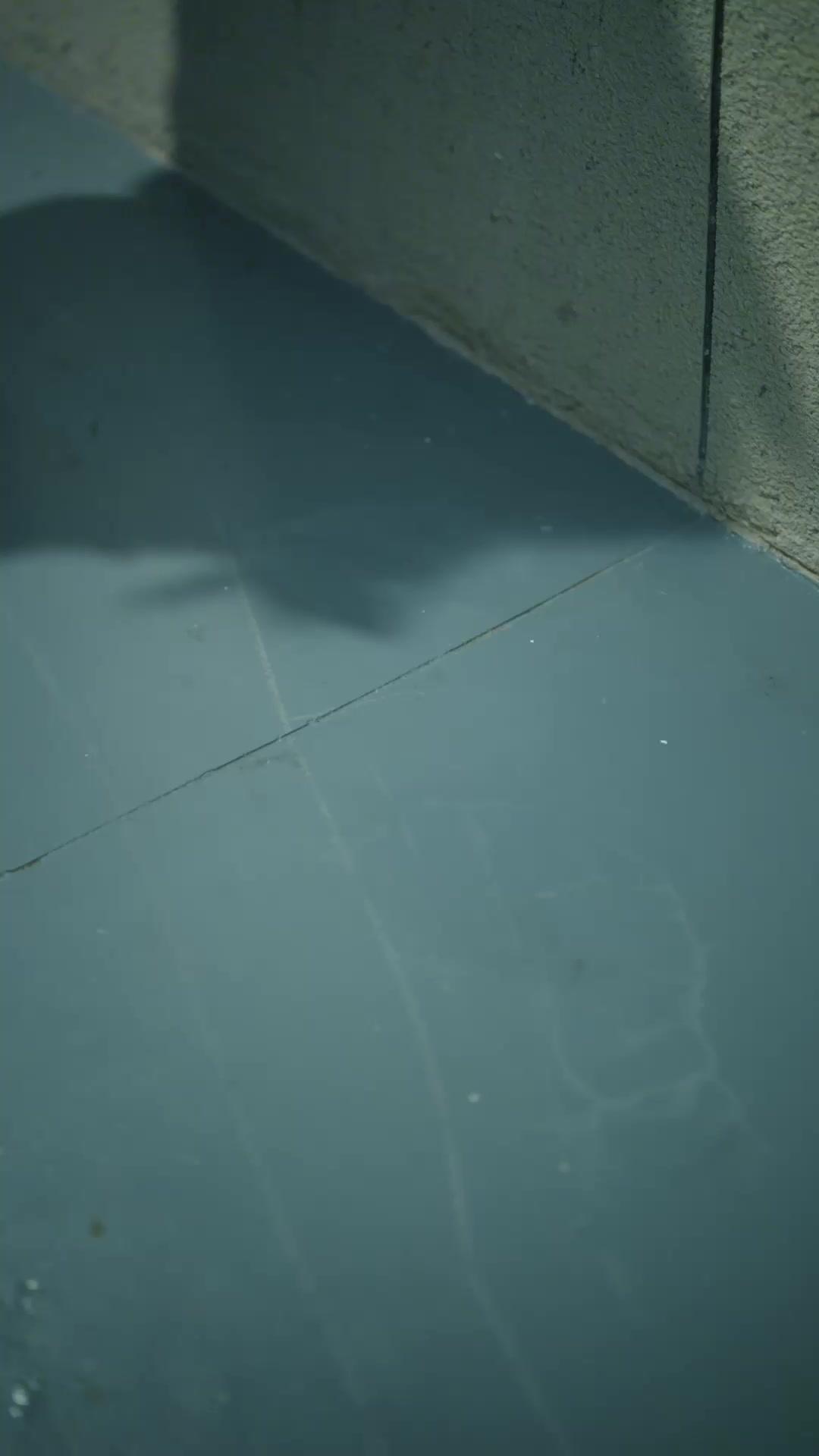 甩不掉！路邊撿來的男人是太子爺