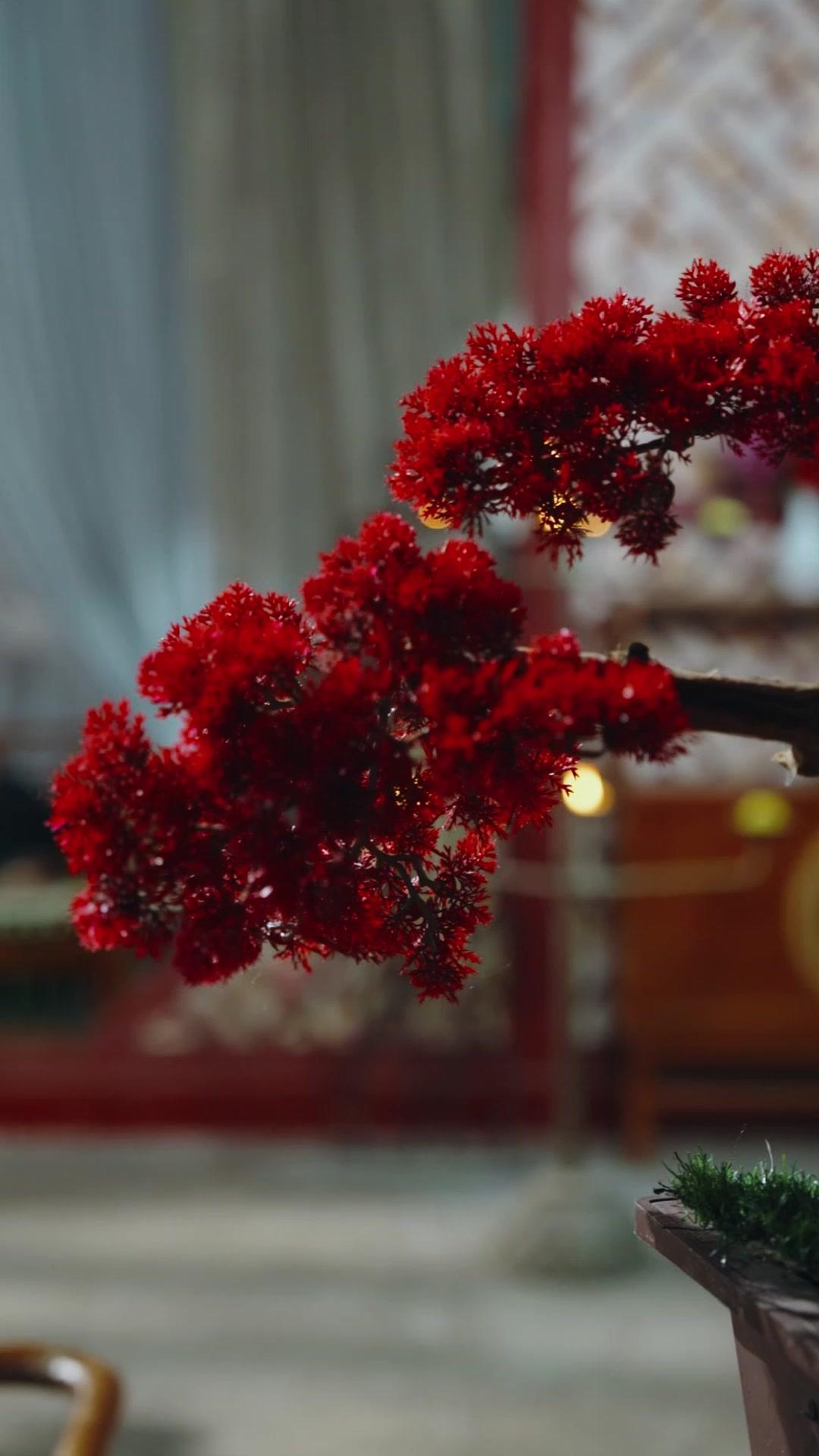 My Useless Daughter is A Grand General?