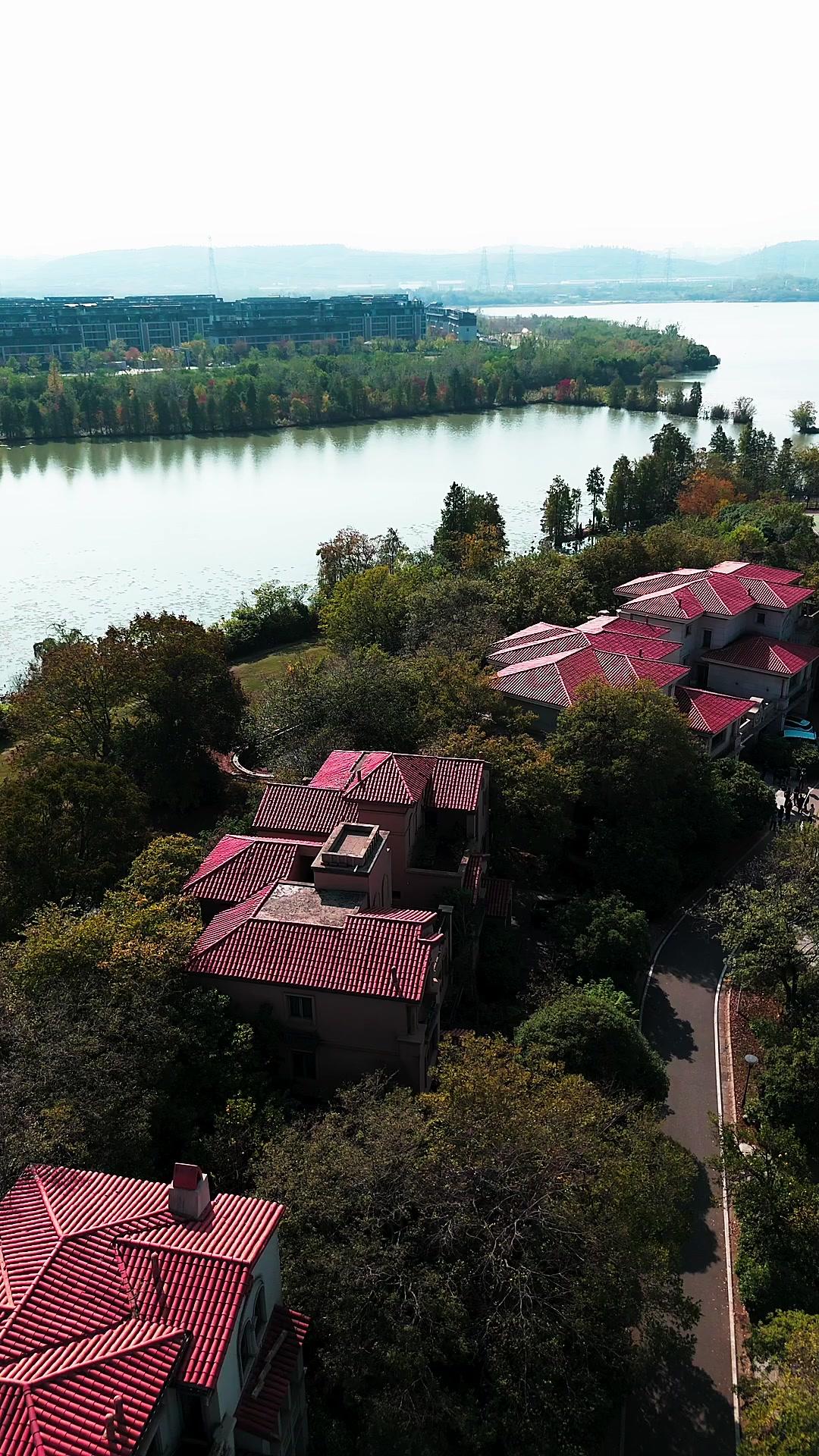 Mi hija, mi buena estrella